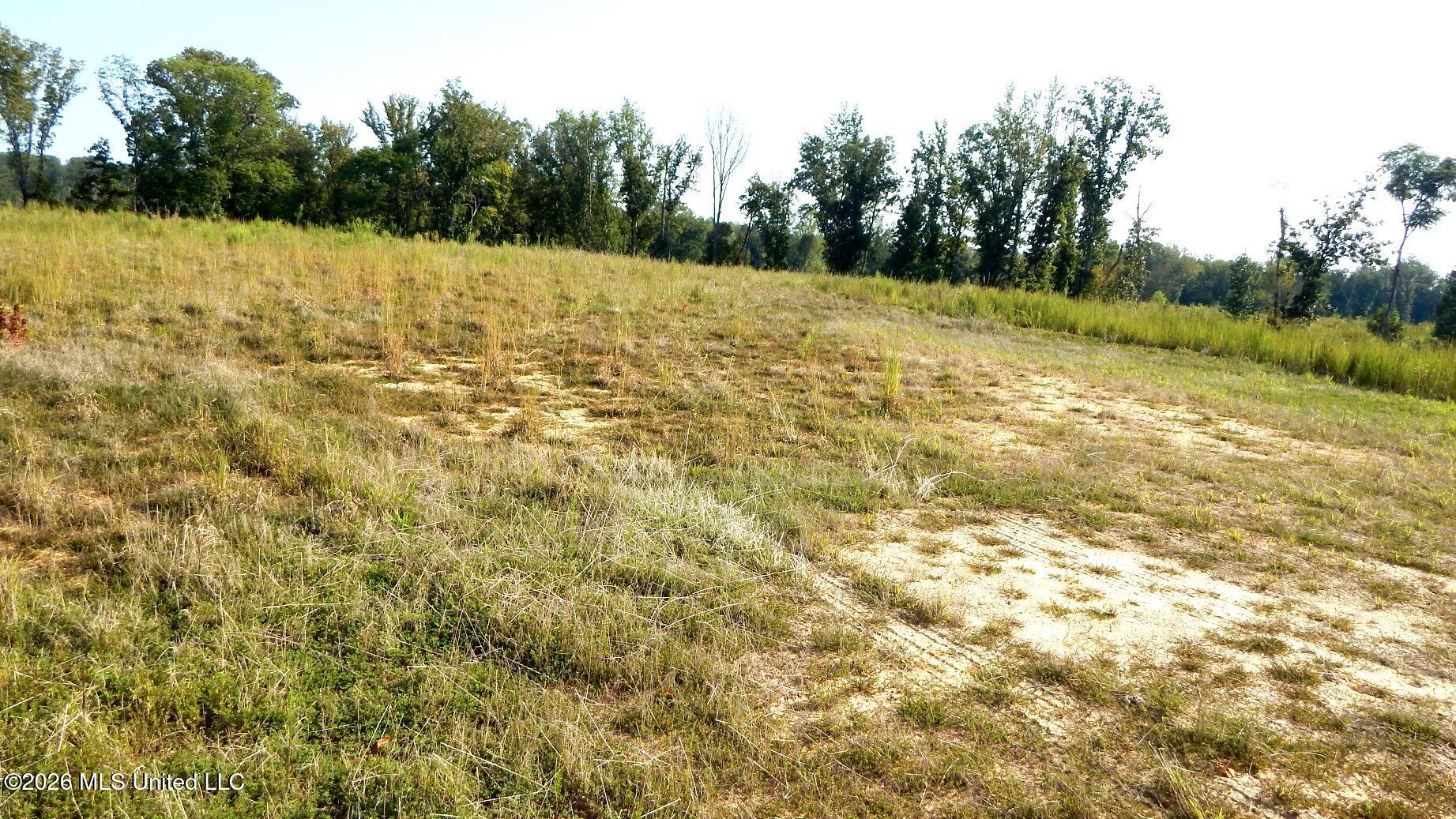 780 Storm Cove Property Photo 11