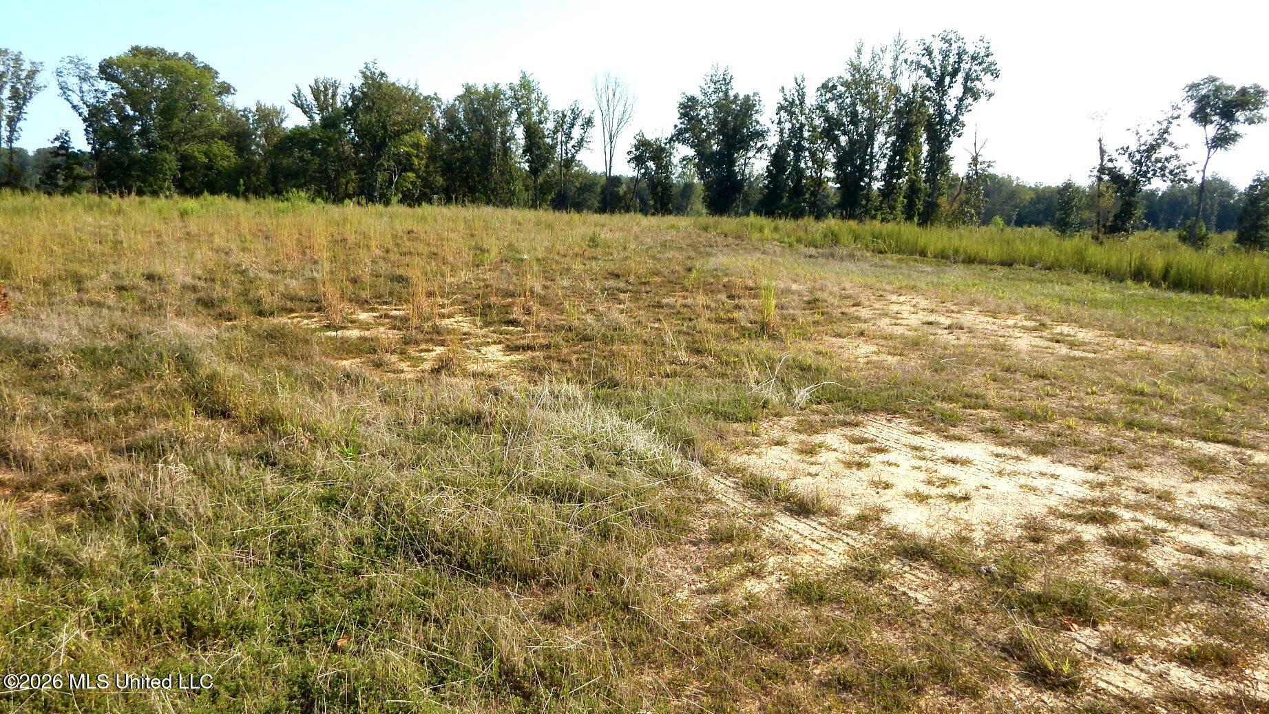780 Storm Cove Property Photo 12
