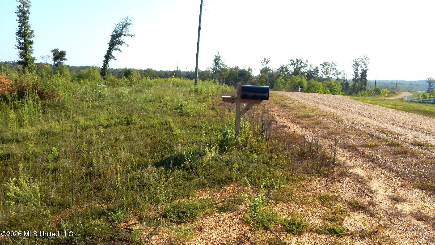 780 Storm Cove Property Photo 13