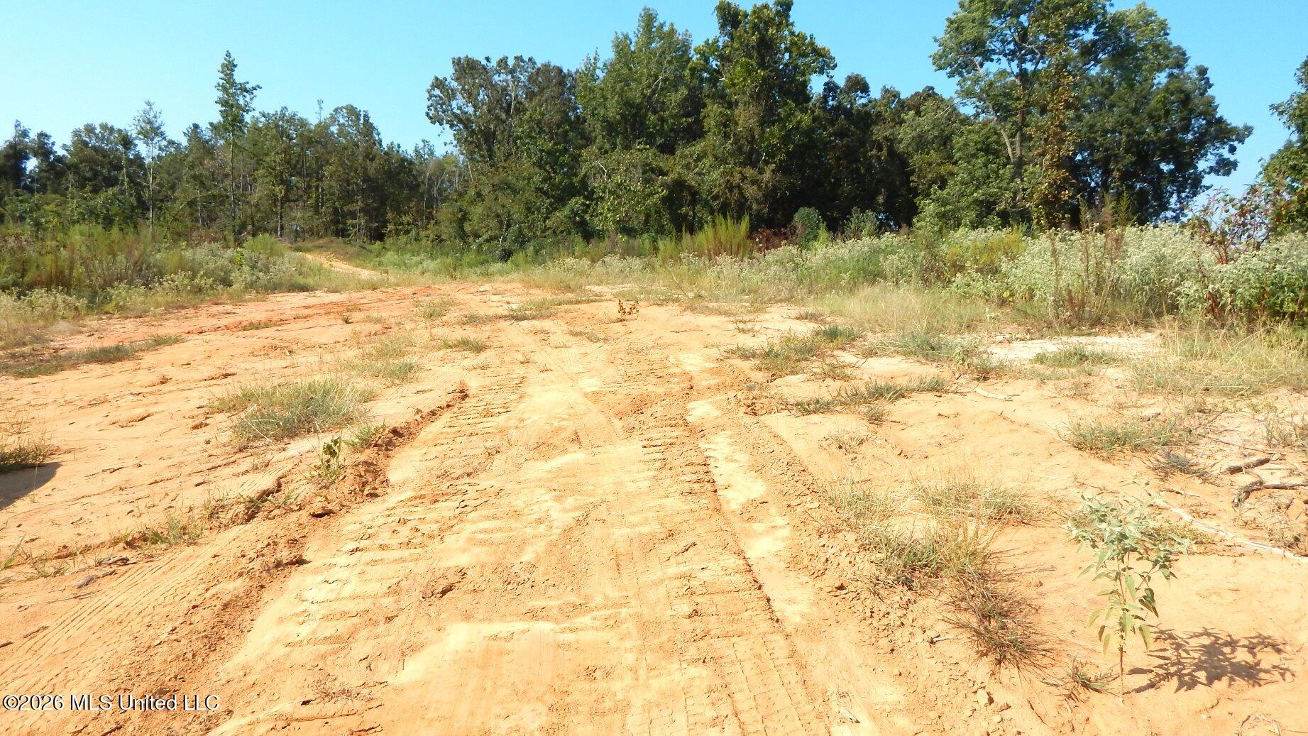 275 County Road 239