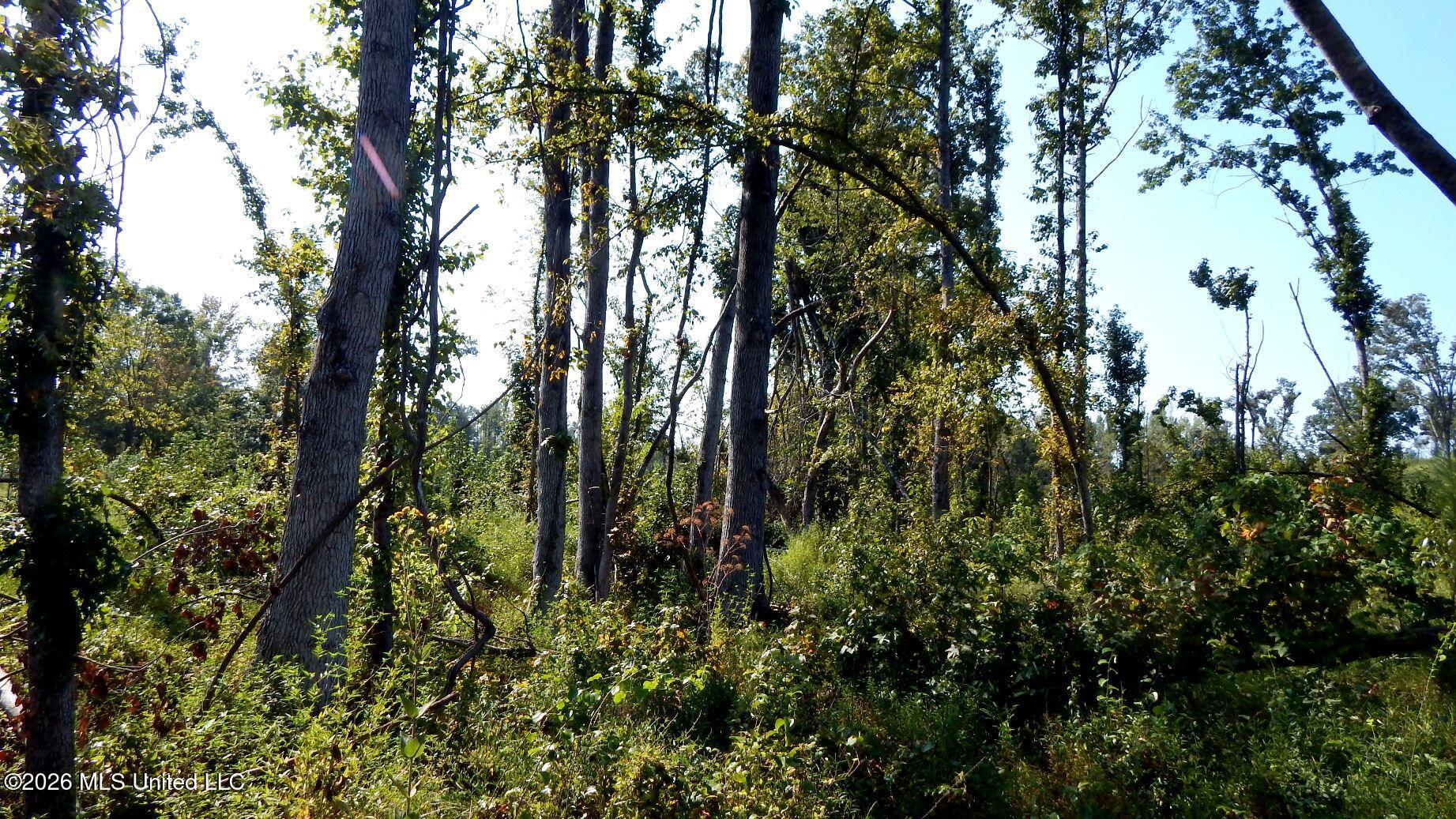 275 County Road 239 Property Photo 12
