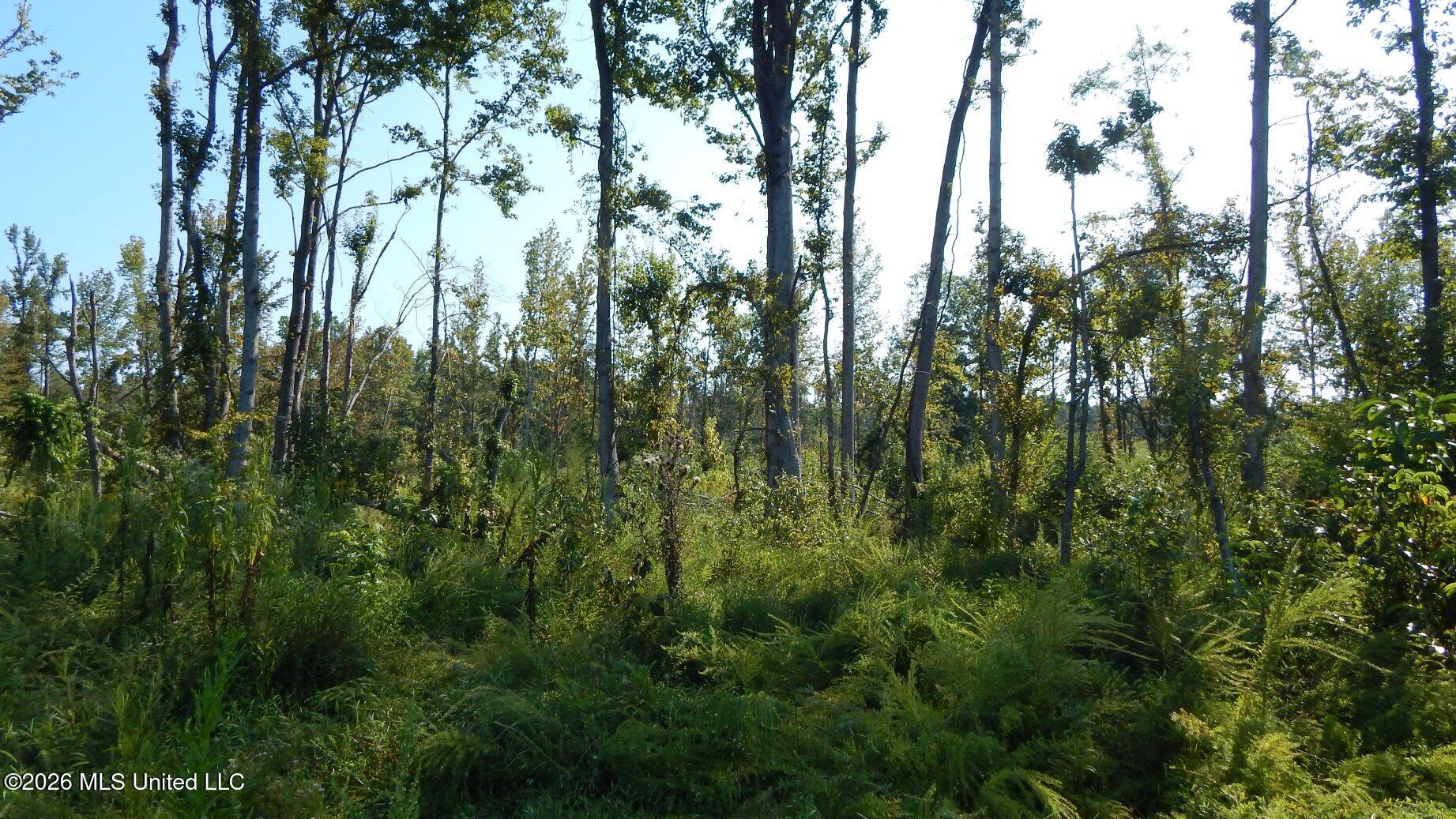275 County Road 239 Property Photo 13