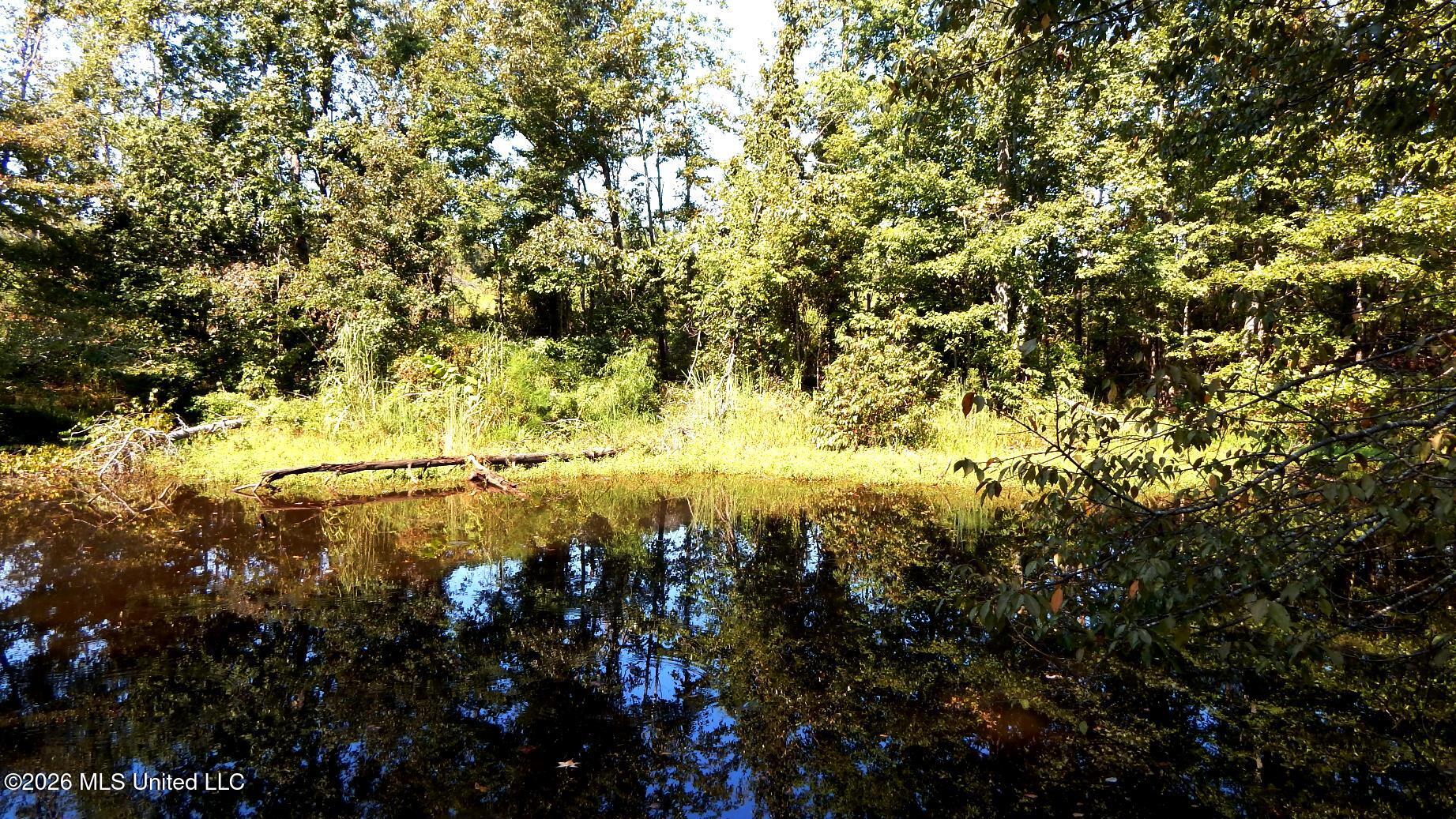 275 County Road 239 Property Photo 14