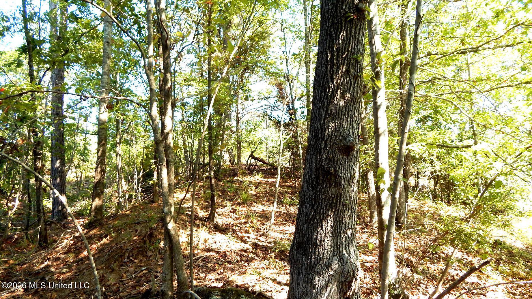 275 County Road 239 Property Photo 20