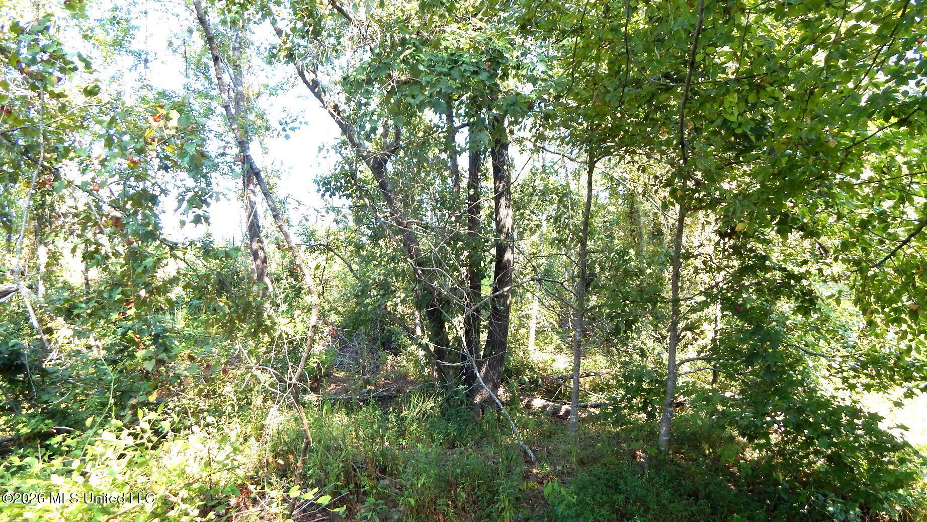 275 County Road 239 Property Photo 22