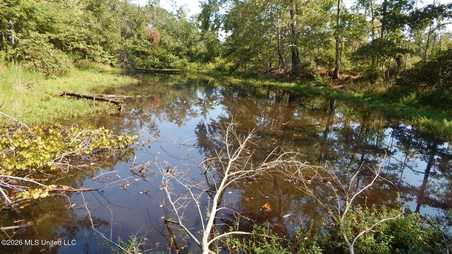 275 County Road 239 Property Photo 23