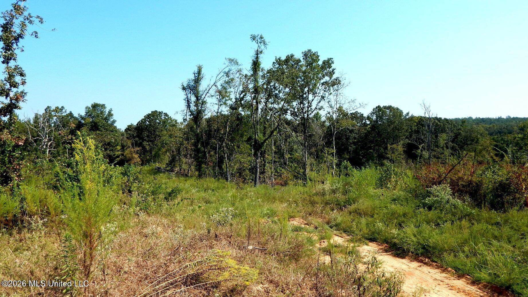 275 County Road 239 Property Photo 27