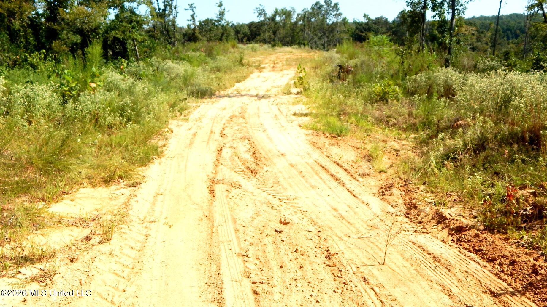 275 County Road 239 Property Photo 30
