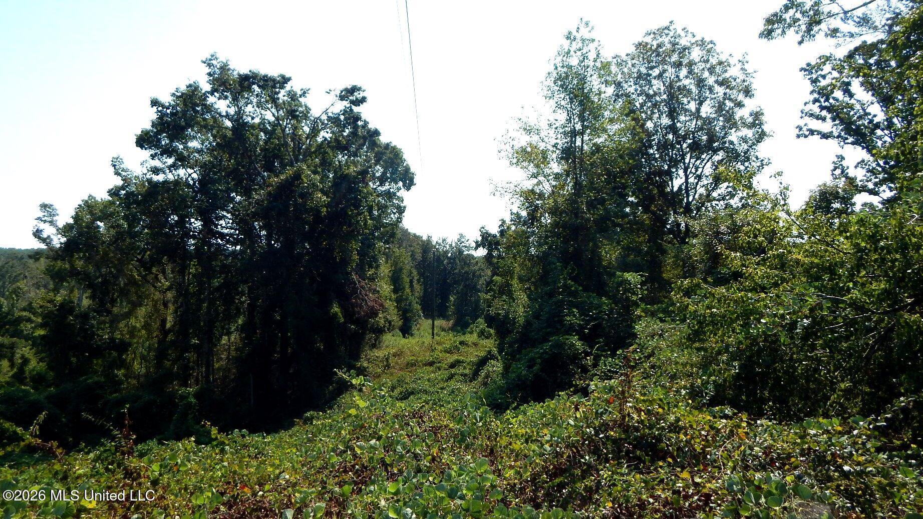 275 County Road 239 Property Photo 31