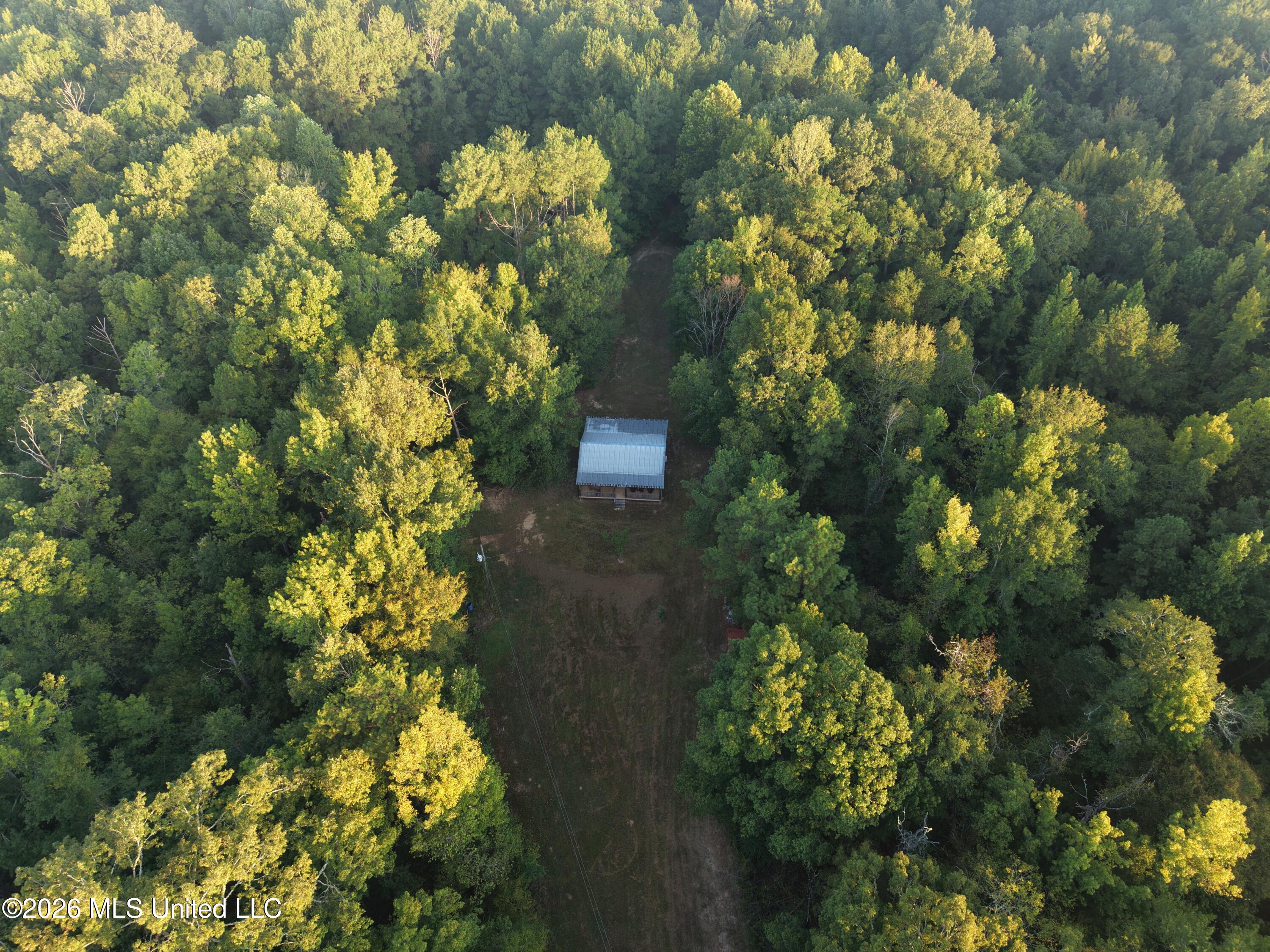 5582 White Apple Road Property Photo 3