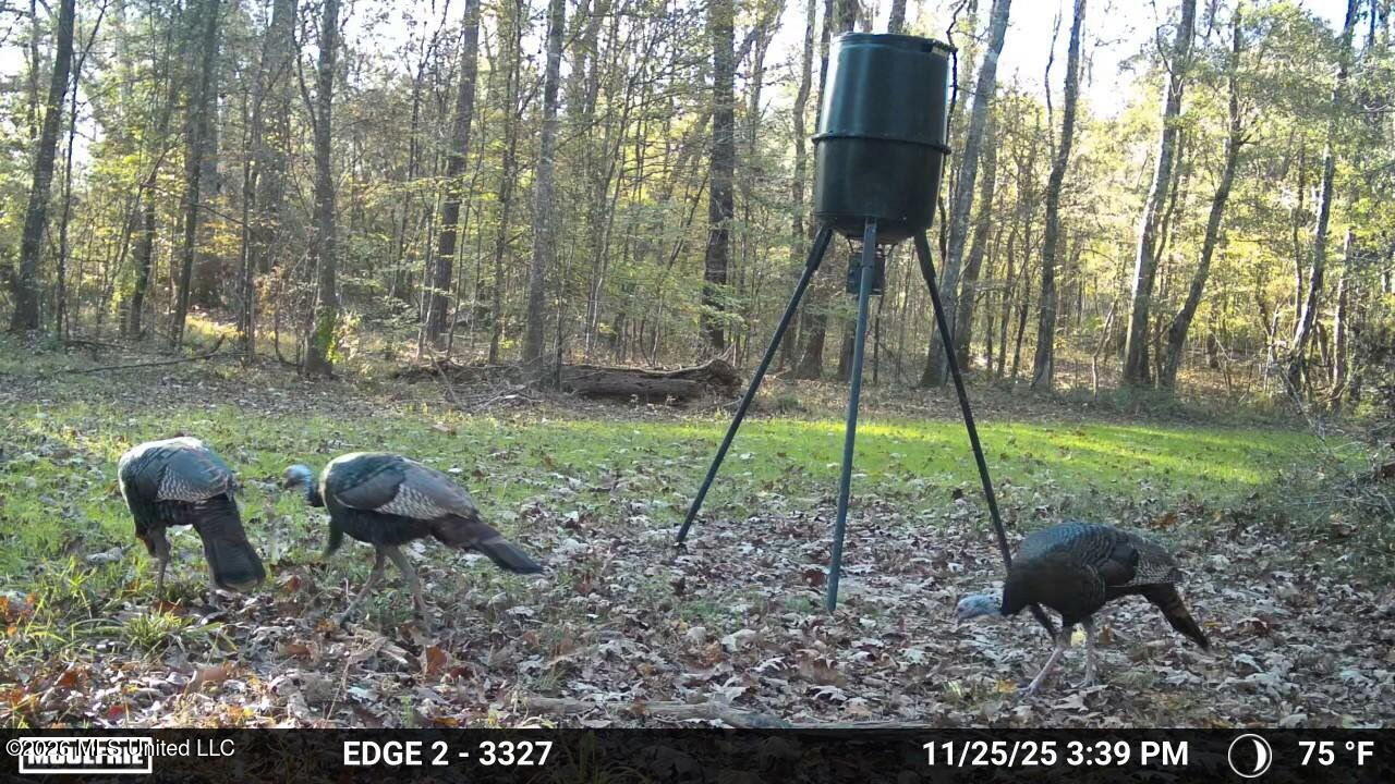 5582 White Apple Road Property Photo 13