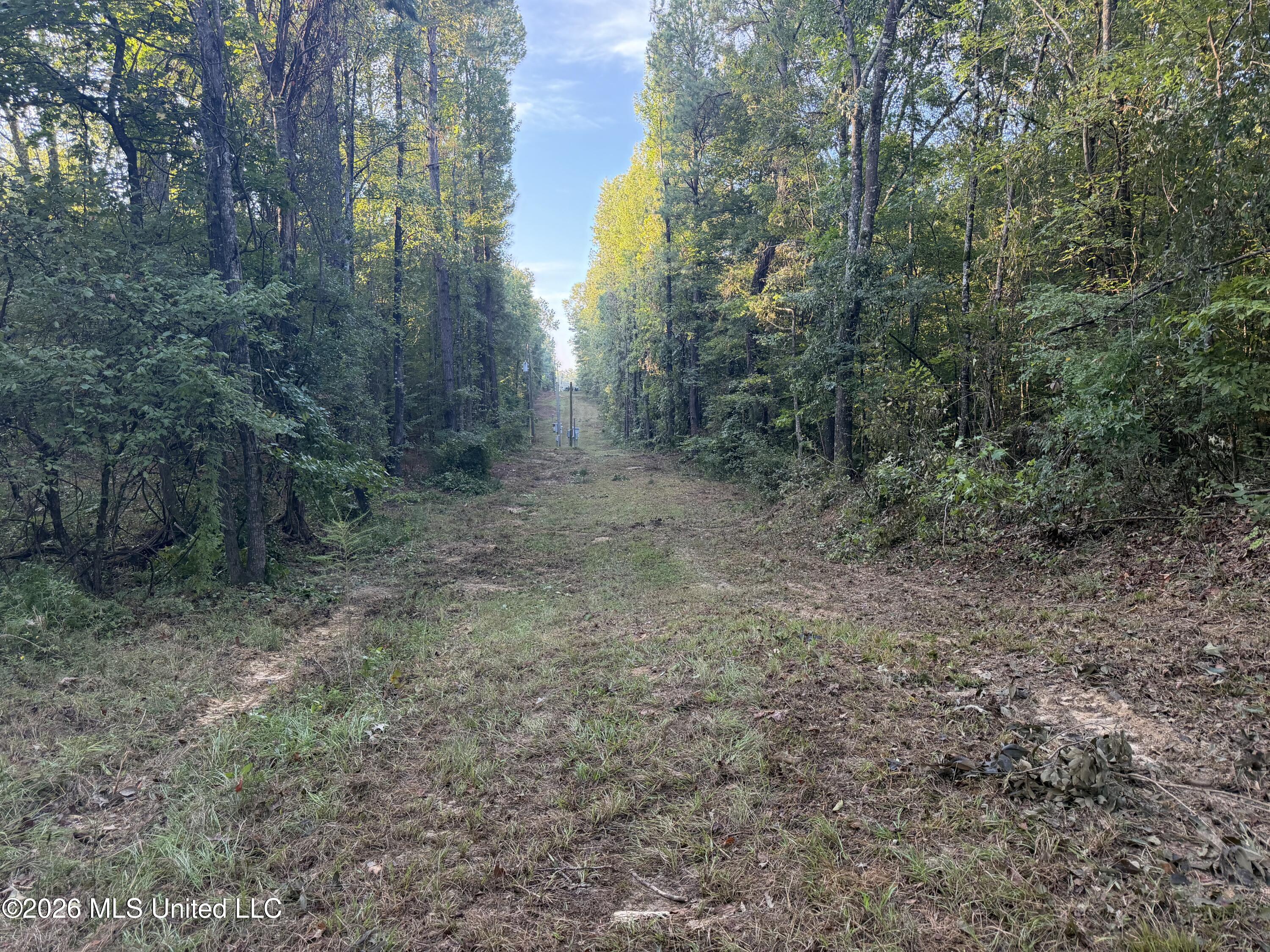 5582 White Apple Road Property Photo 15