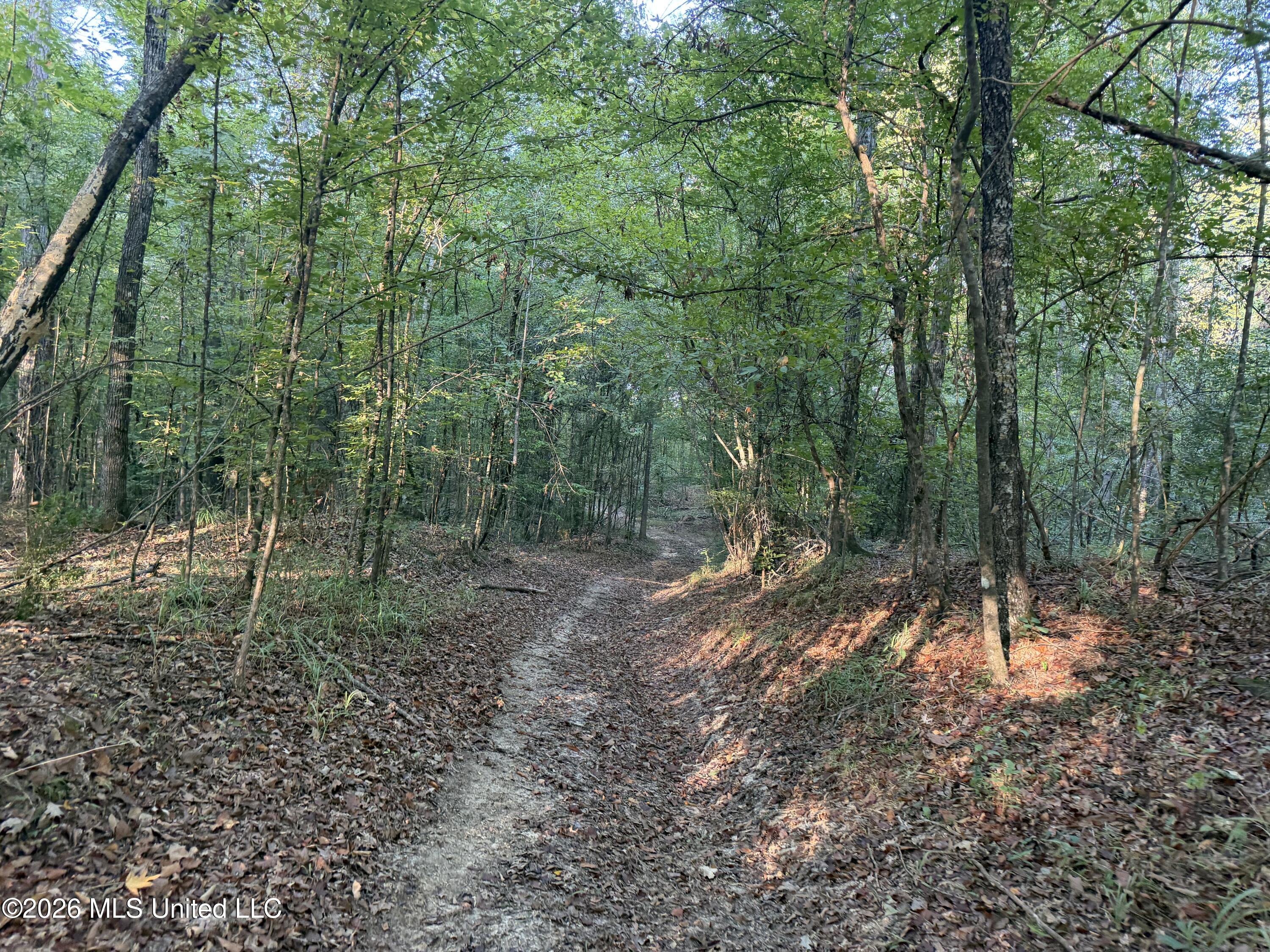 5582 White Apple Road Property Photo 16