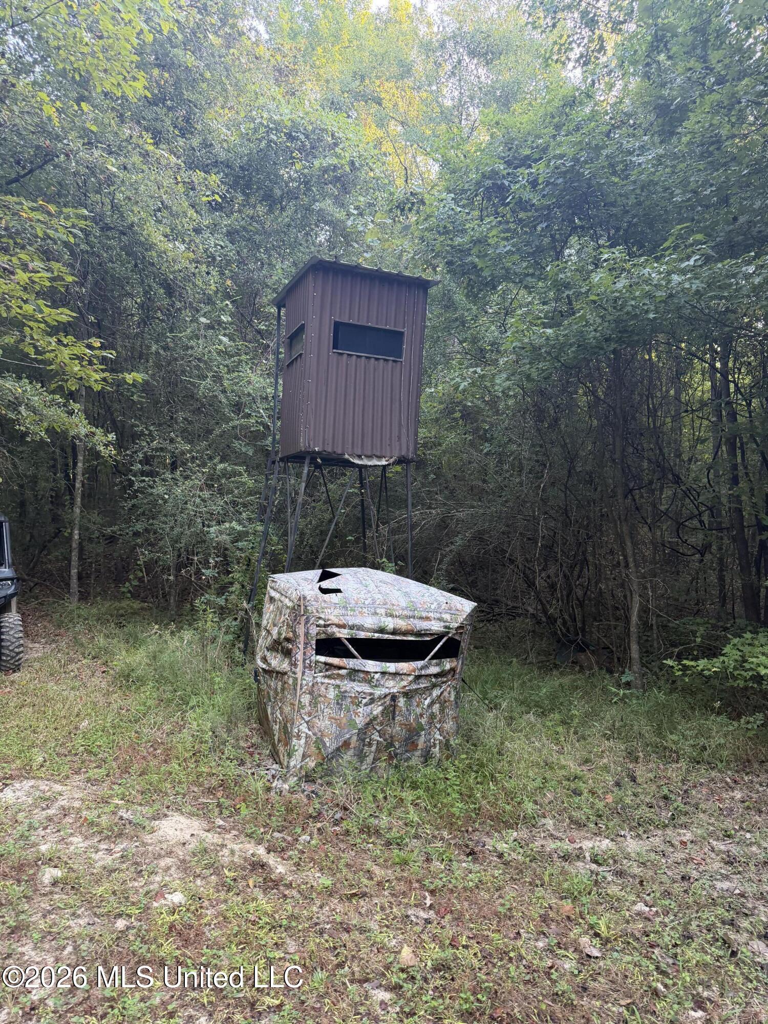 5582 White Apple Road Property Photo 17