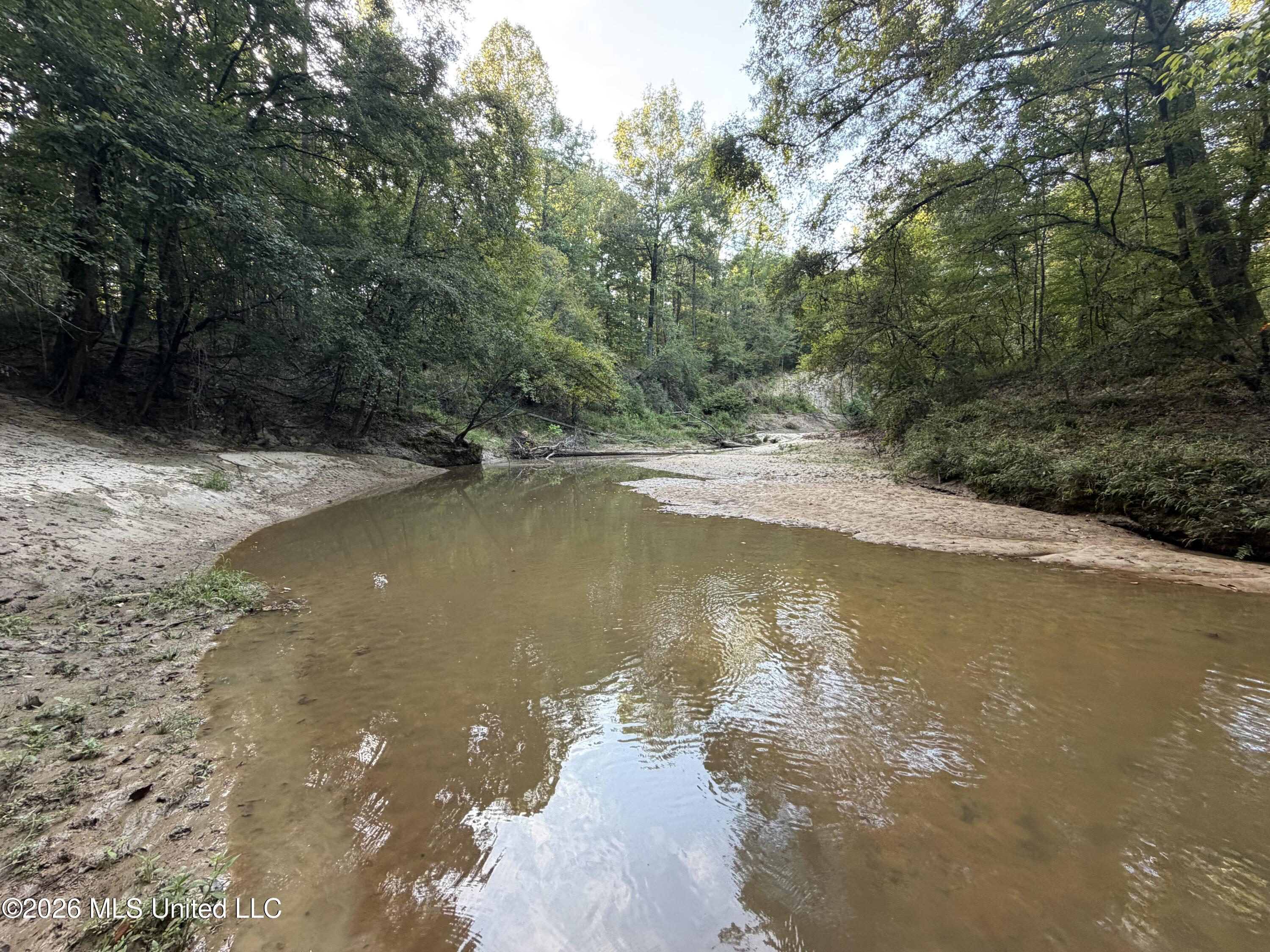 5582 White Apple Road Property Photo 19