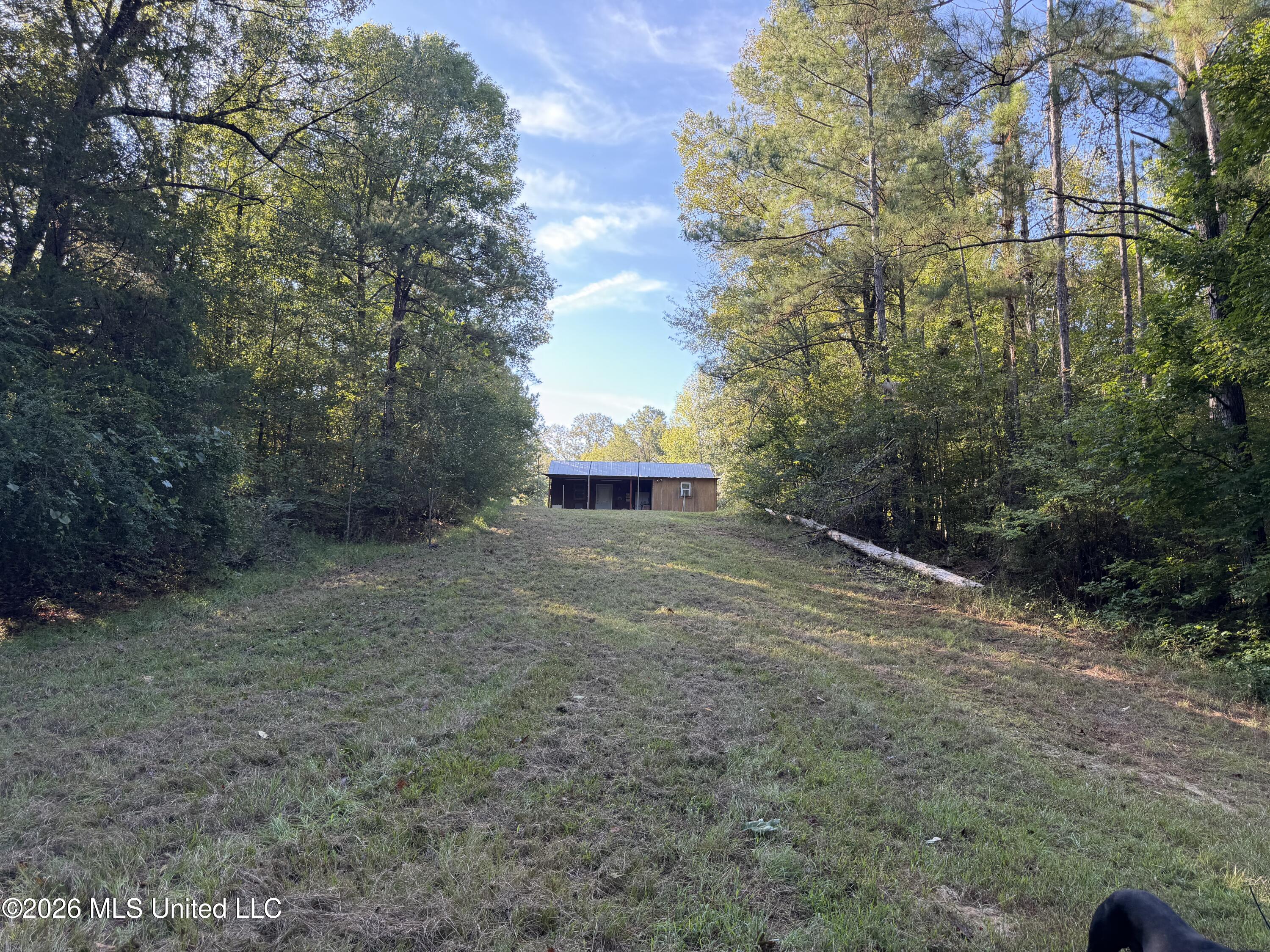 5582 White Apple Road Property Photo 22