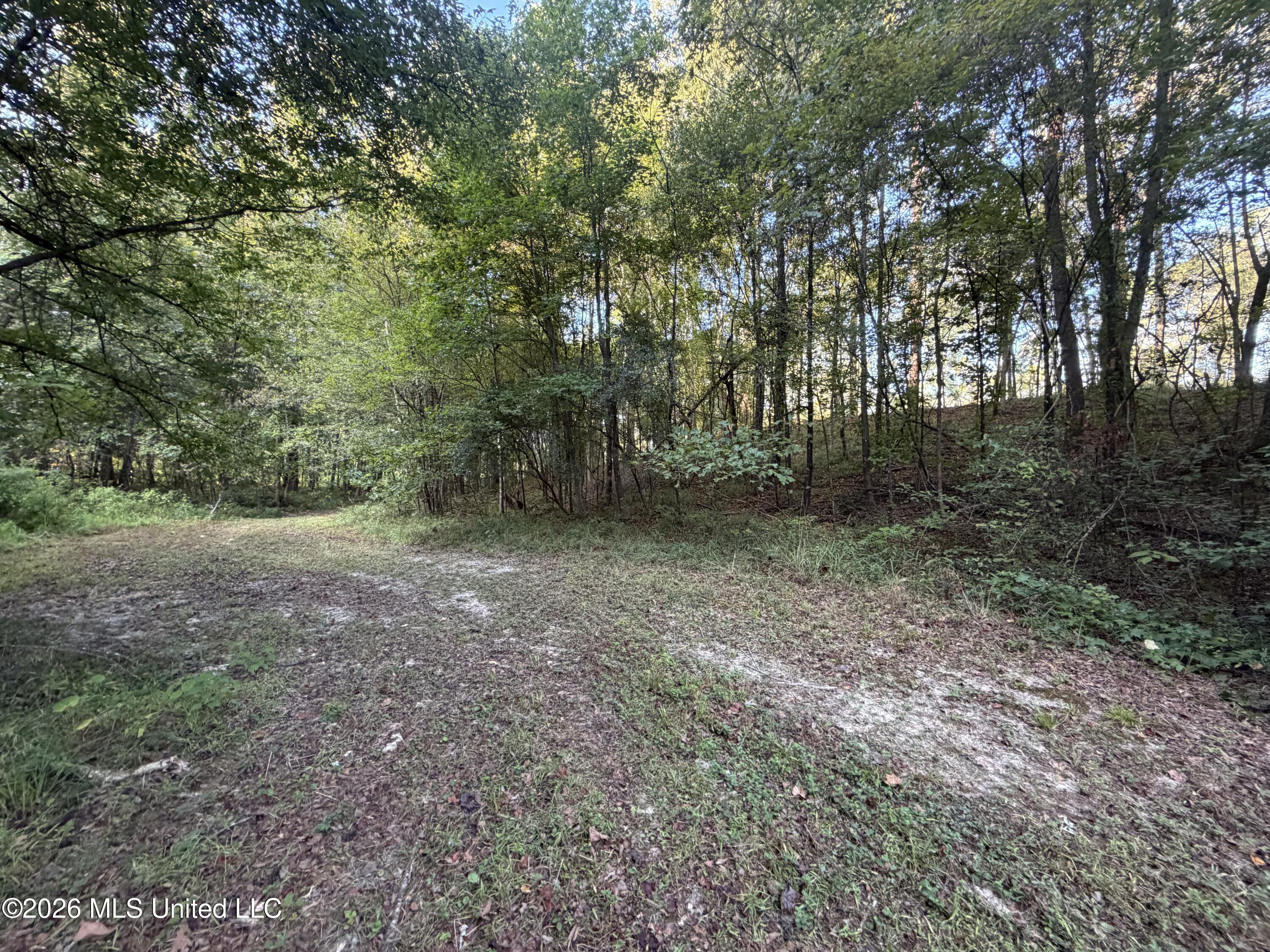 5582 White Apple Road Property Photo 27