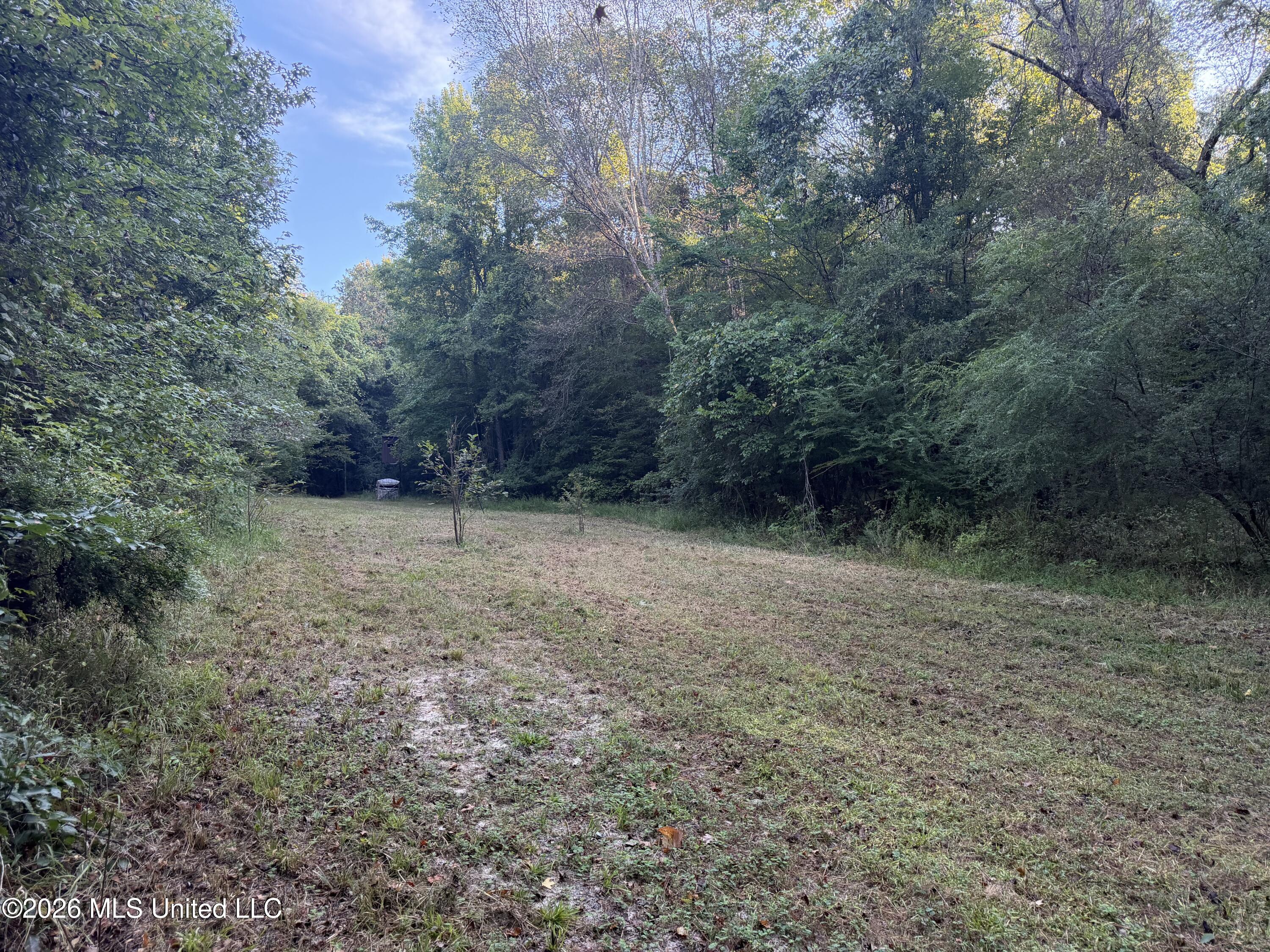 5582 White Apple Road Property Photo 29