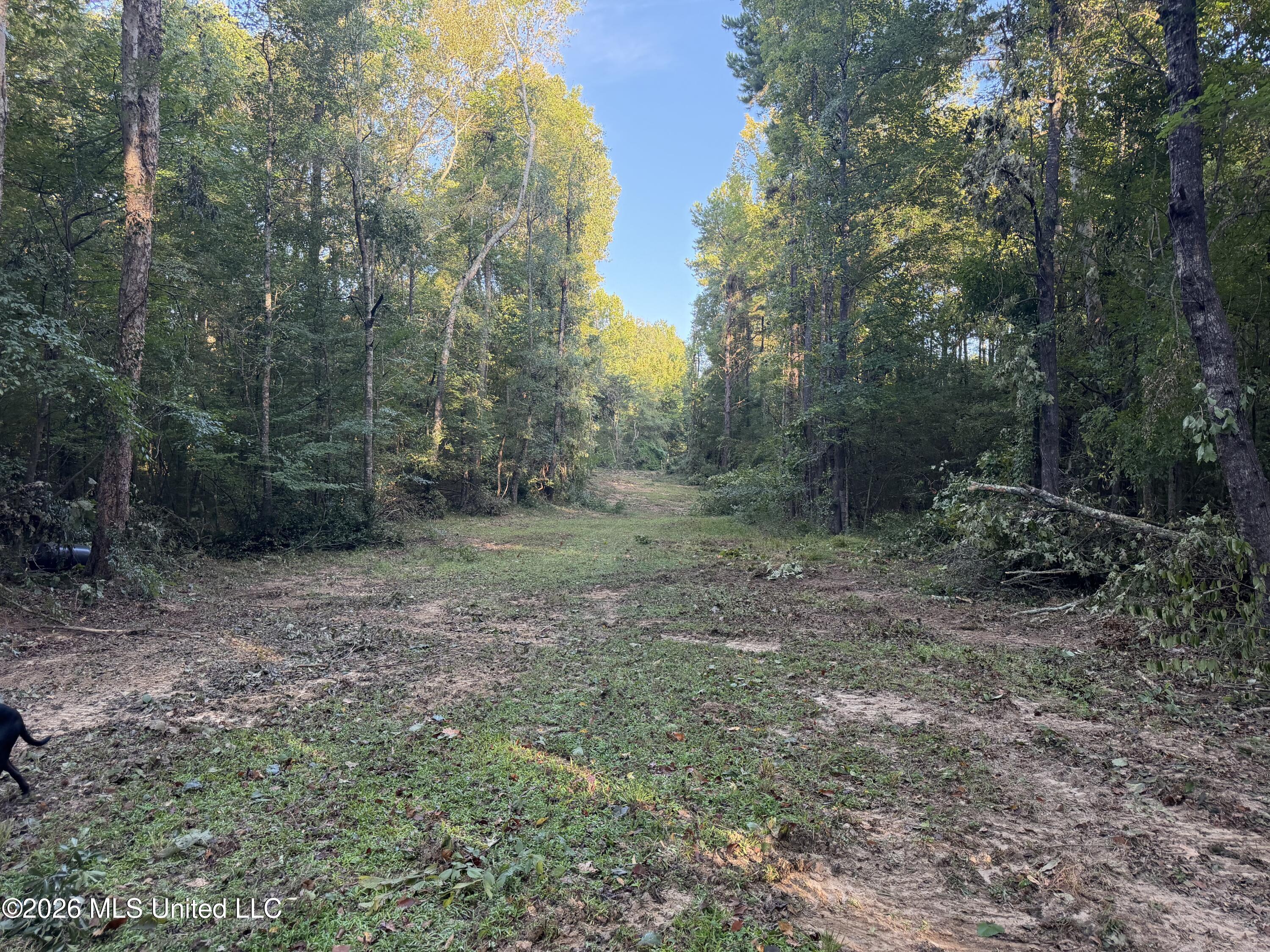 5582 White Apple Road Property Photo 32