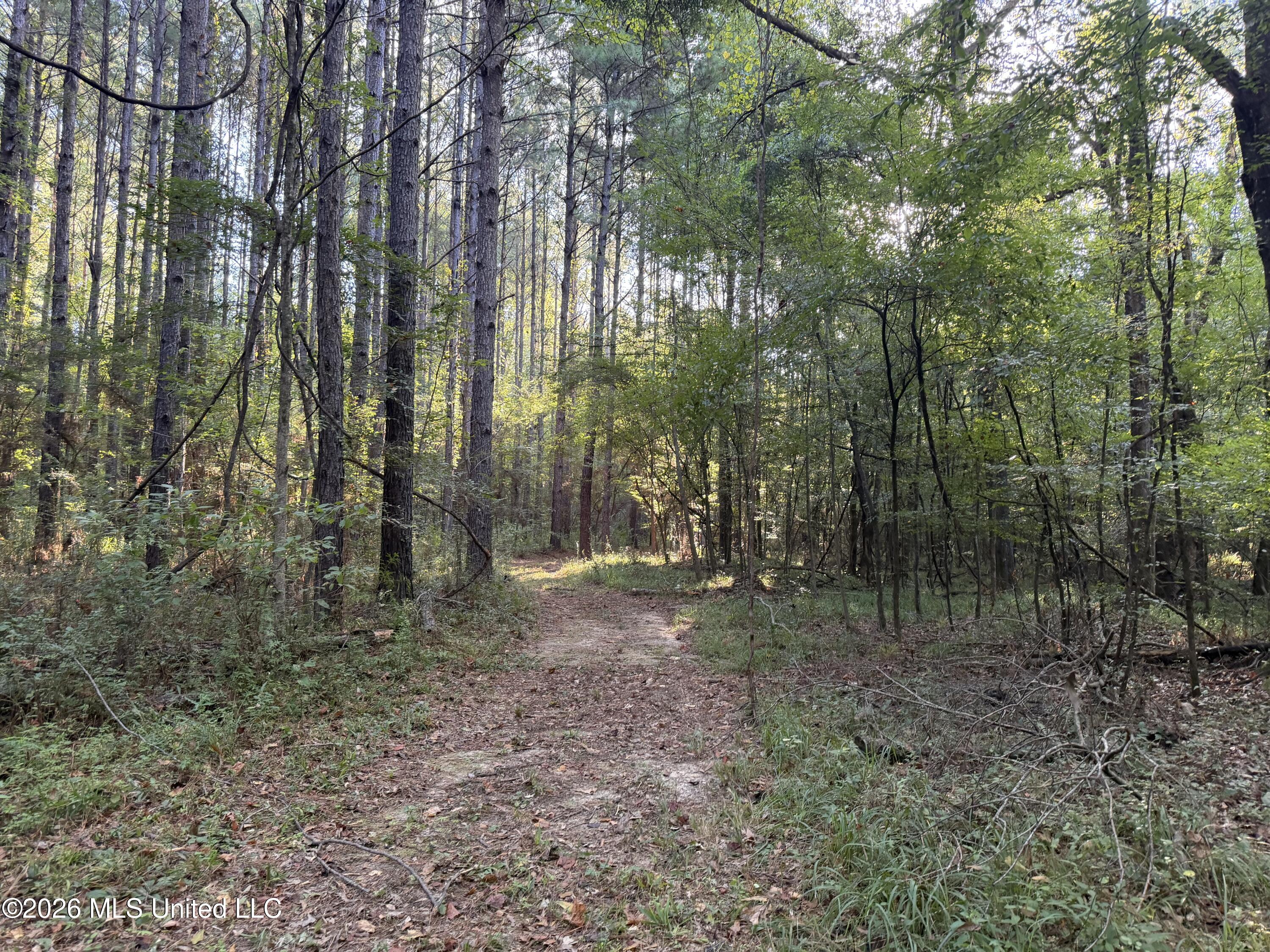 5582 White Apple Road Property Photo 37