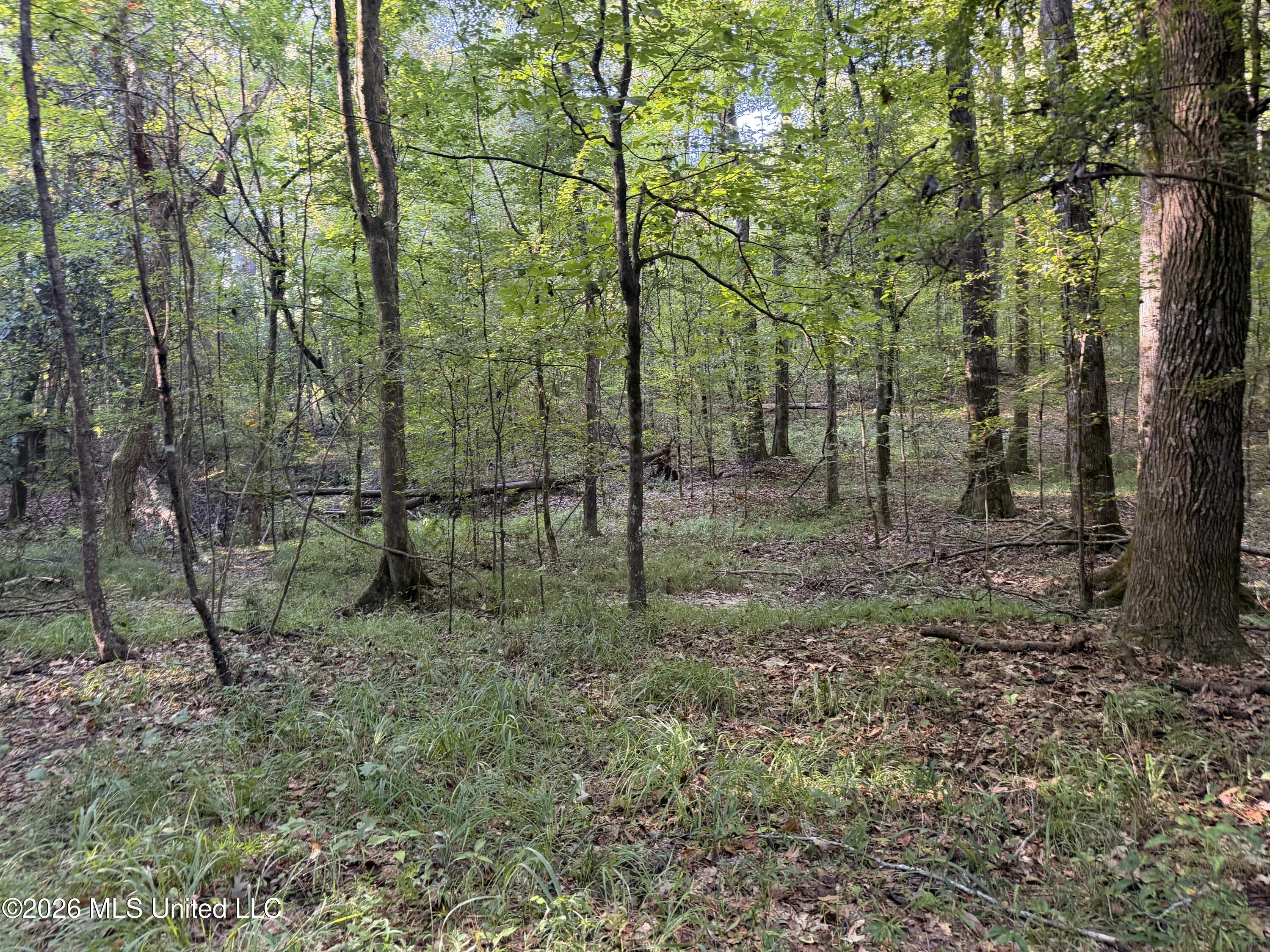 5582 White Apple Road Property Photo 39