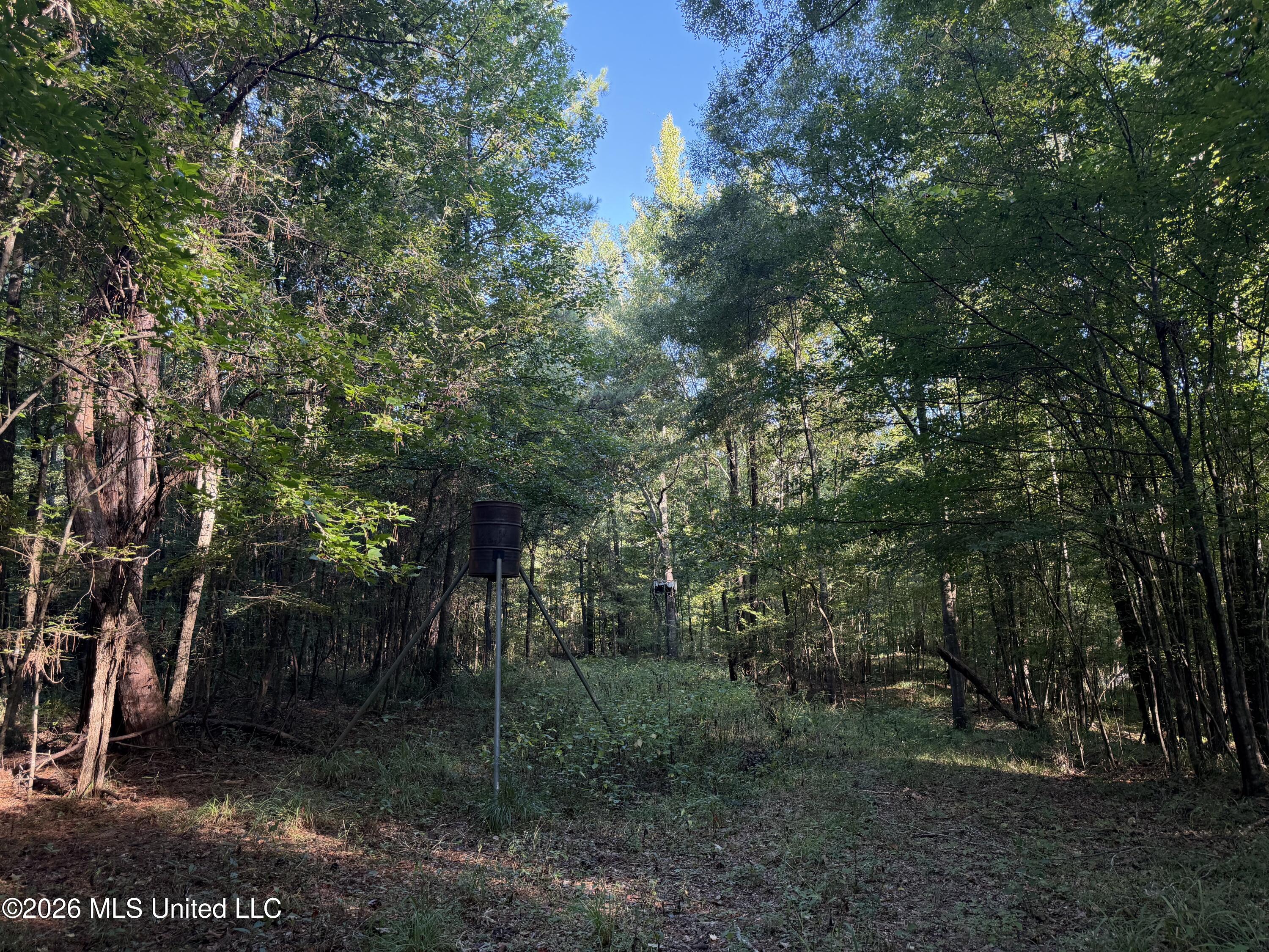 5582 White Apple Road Property Photo 48
