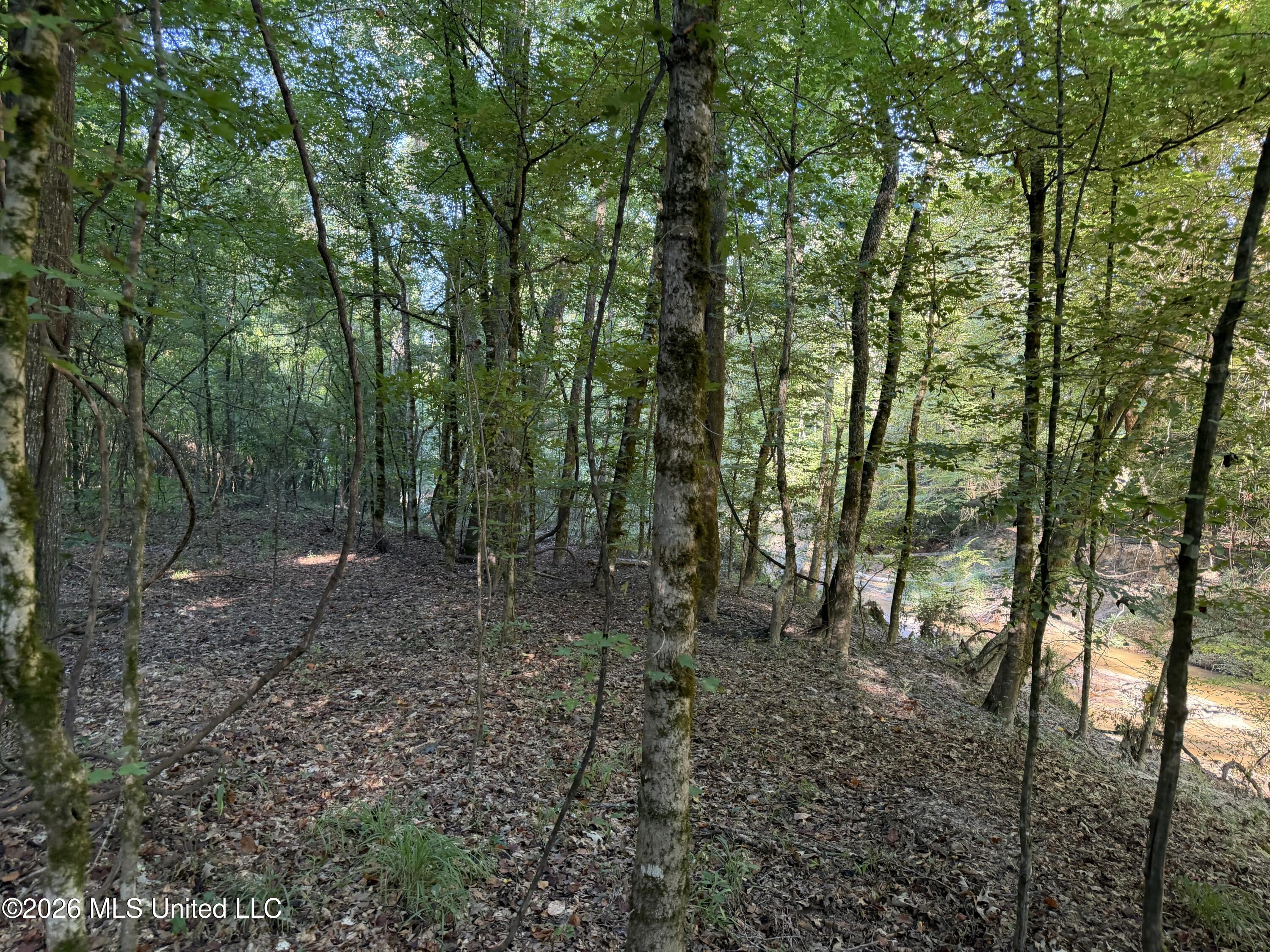 5582 White Apple Road Property Photo 49