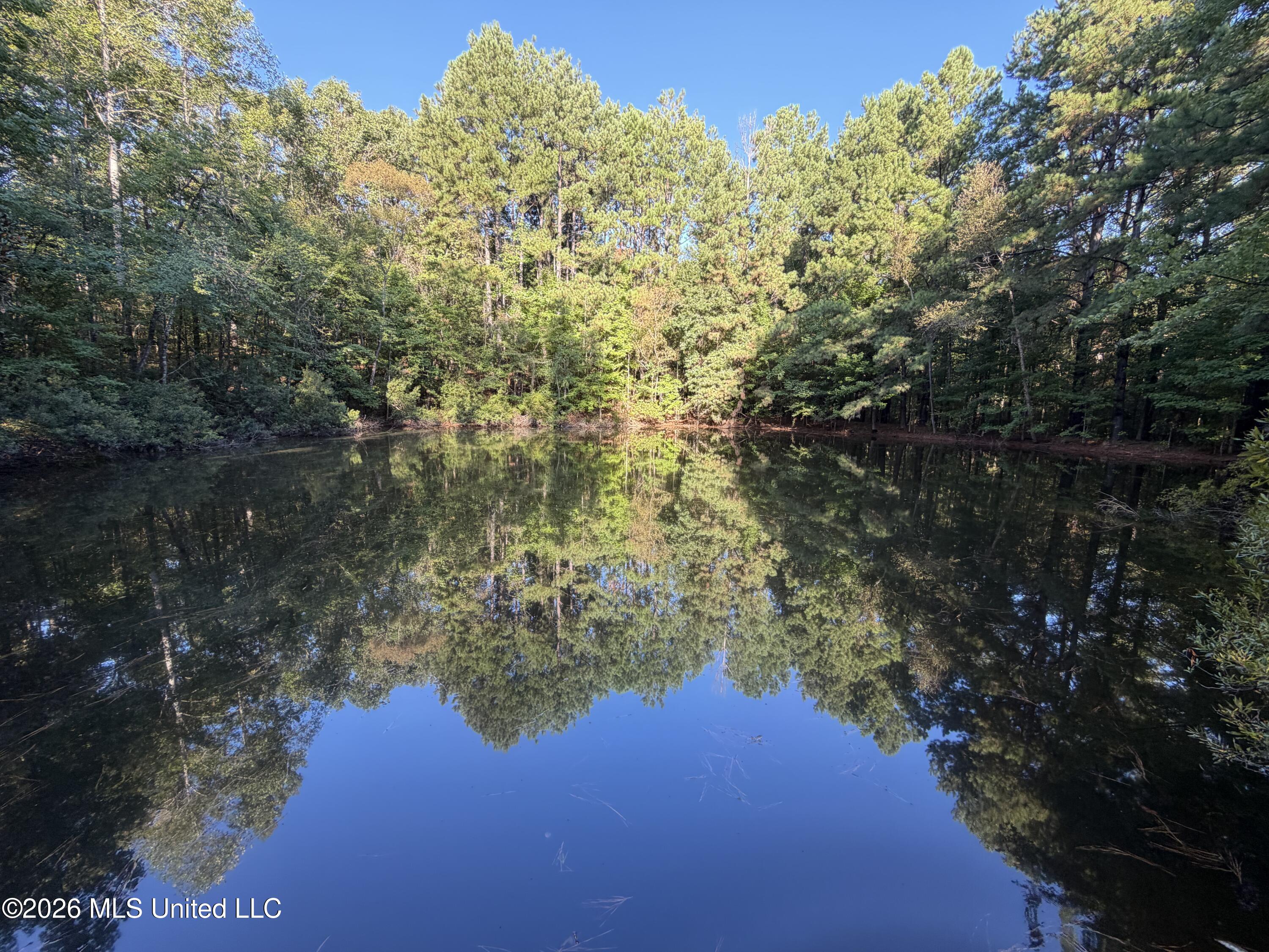 5582 White Apple Road Property Photo 53