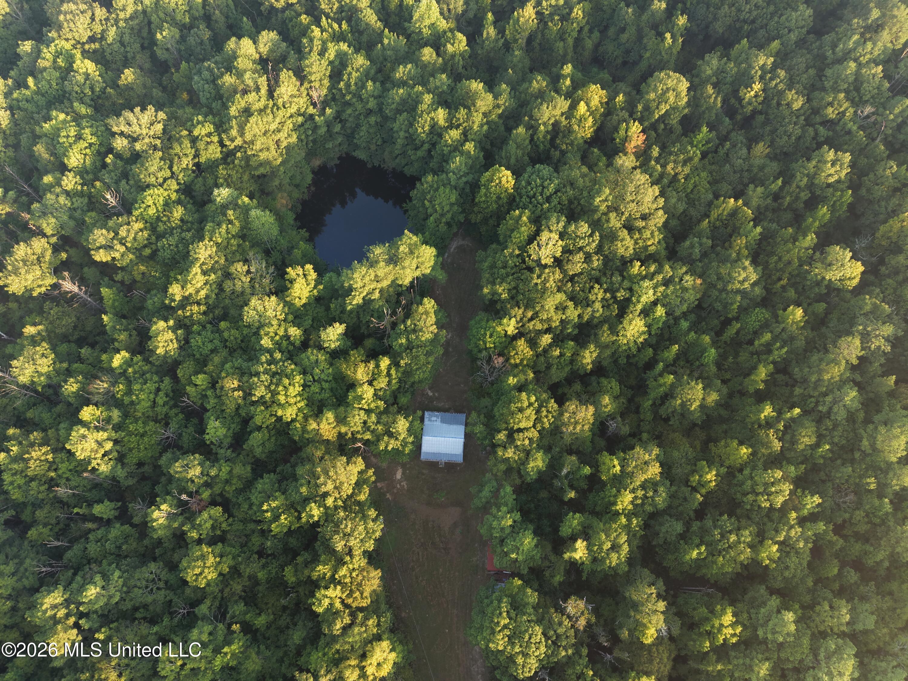 5582 White Apple Road Property Photo 67