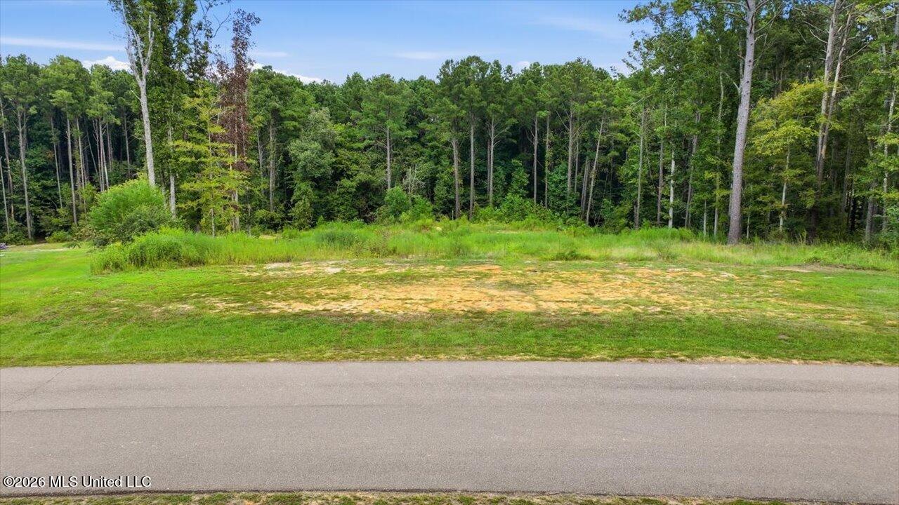 Dogwood Trace Property Photo 1