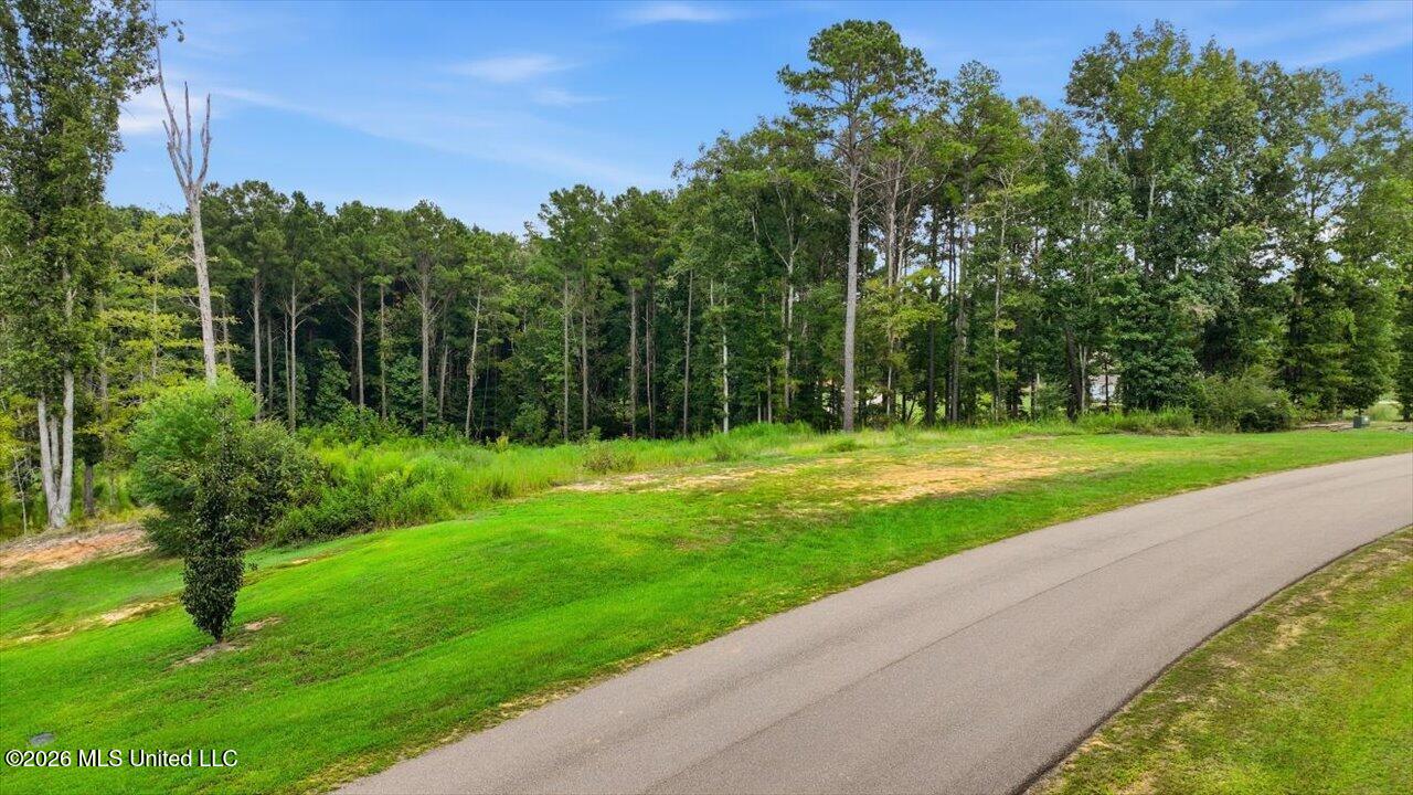 Dogwood Trace Property Photo 2