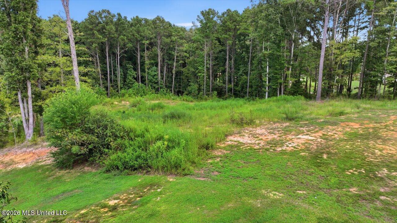 Dogwood Trace Property Photo 3
