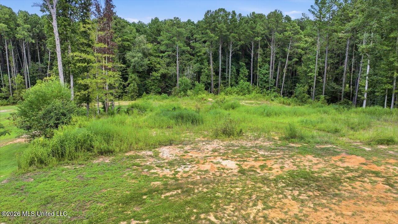 Dogwood Trace Property Photo 4