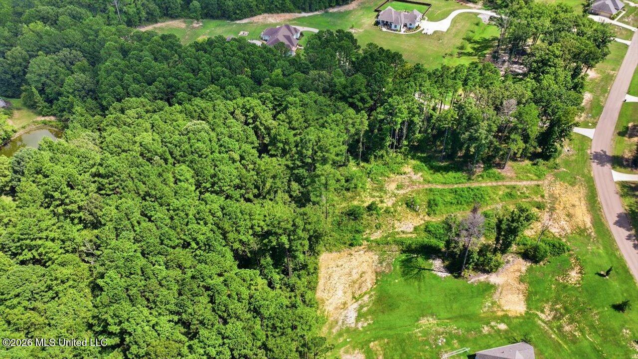 Dogwood Trace Property Photo 20