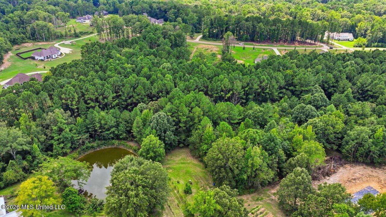 Dogwood Trace Property Photo 22