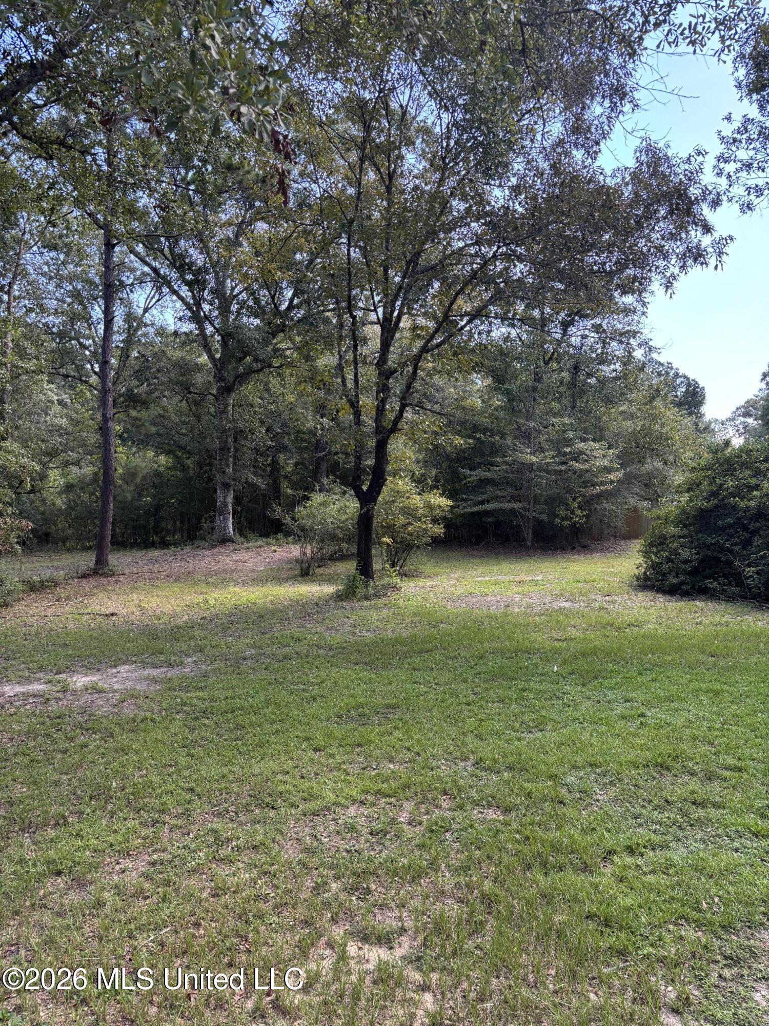 3308 Dwyer Branch Road Property Photo 20