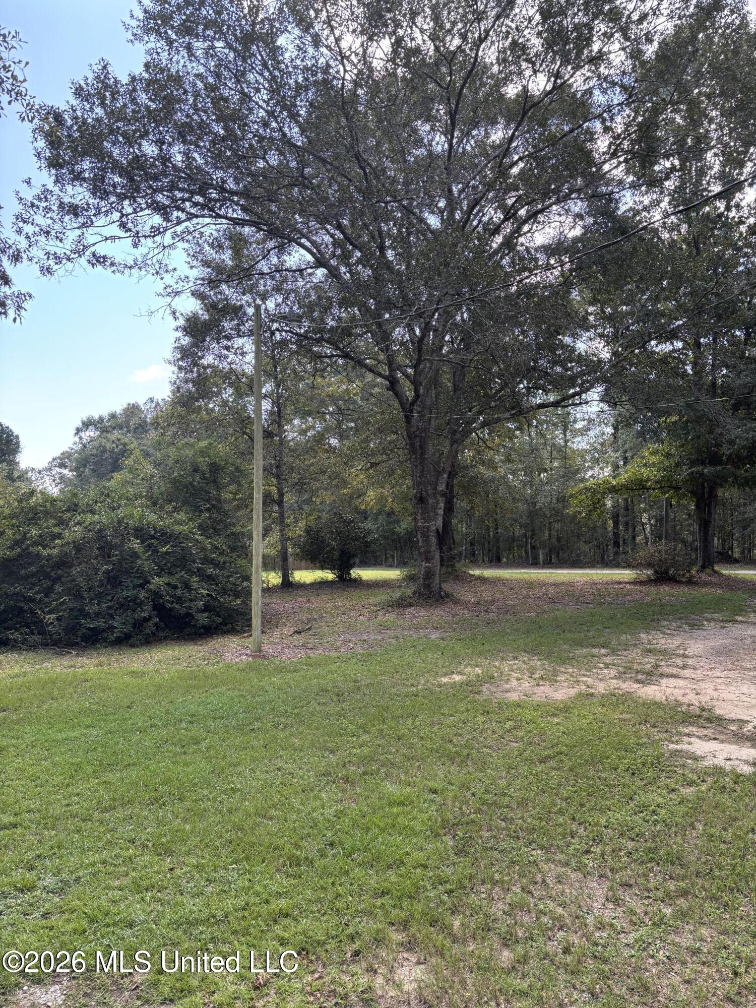 3308 Dwyer Branch Road Property Photo 21