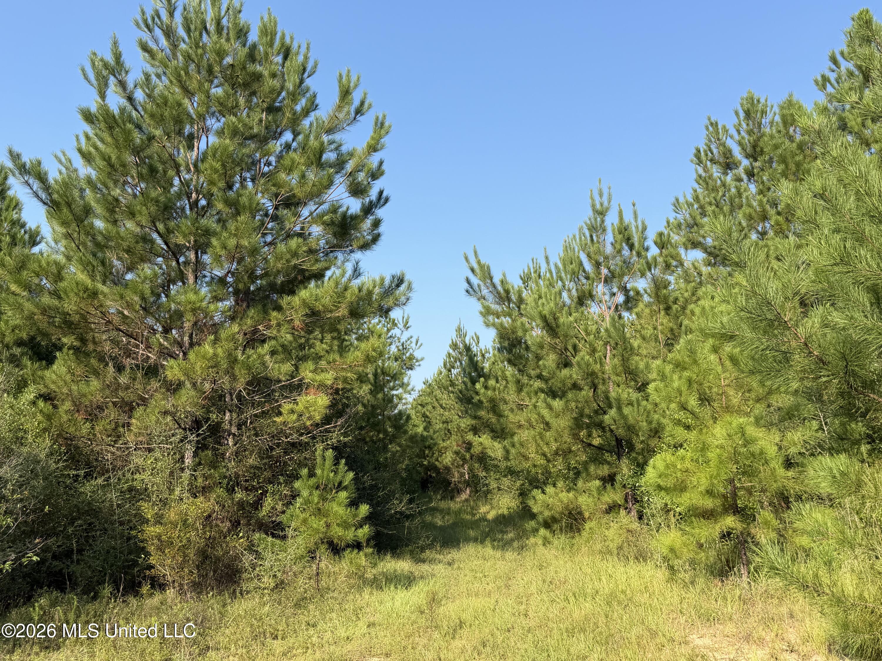 156.3 Acres Beesley Road Property Photo 1