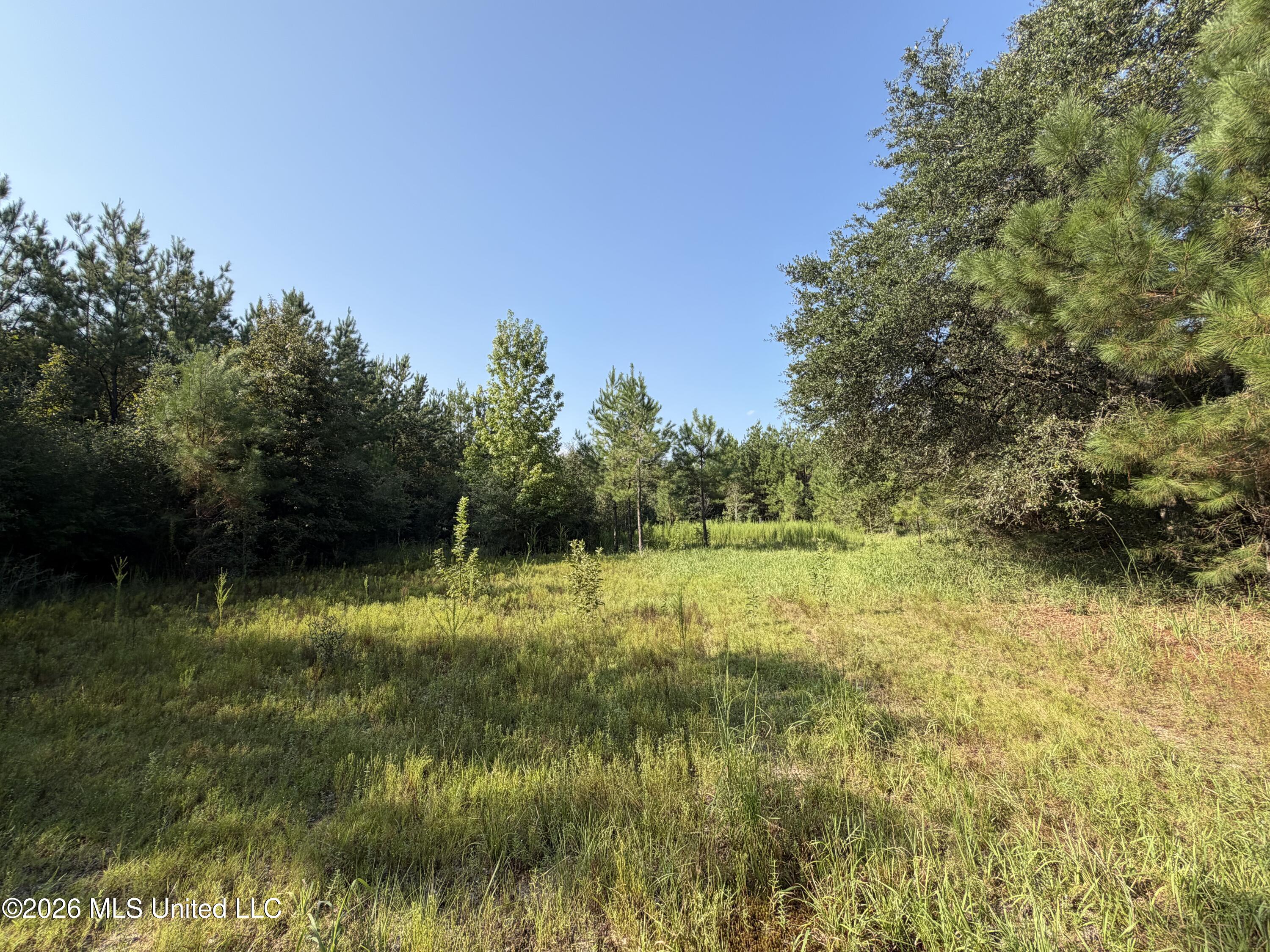 156.3 Acres Beesley Road Property Photo 2