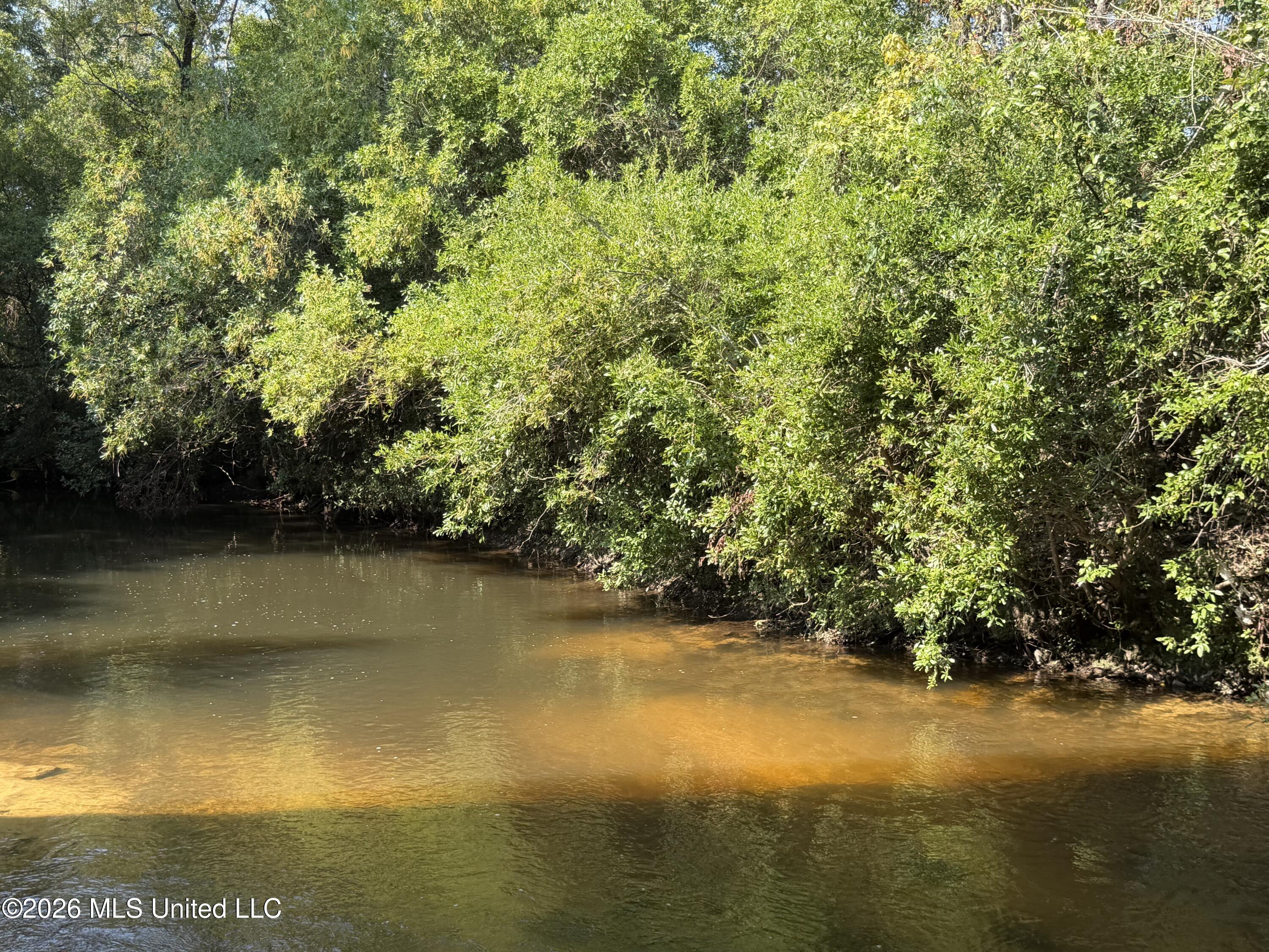 156.3 Acres Beesley Road Property Photo 3