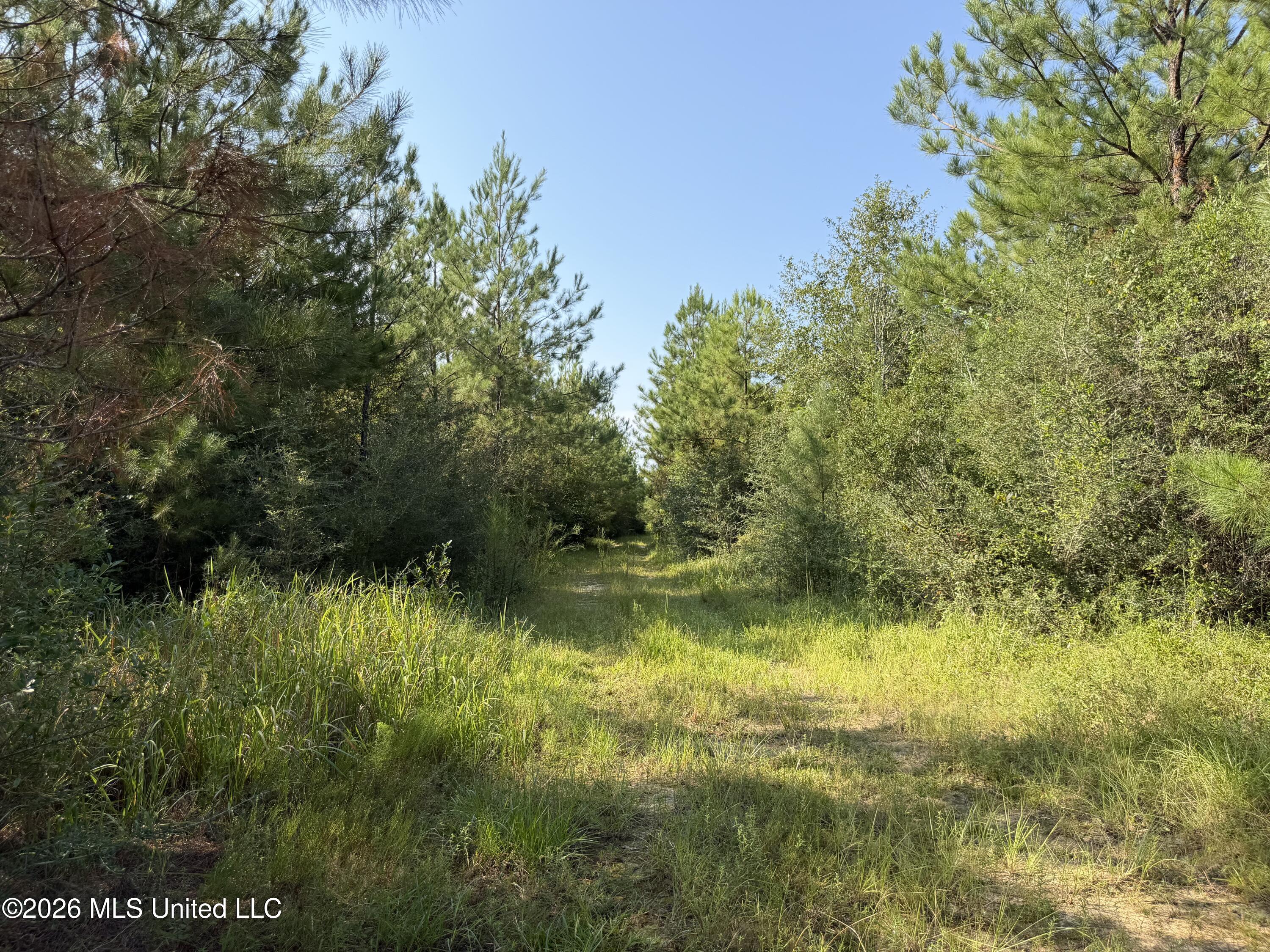 156.3 Acres Beesley Road Property Photo 5