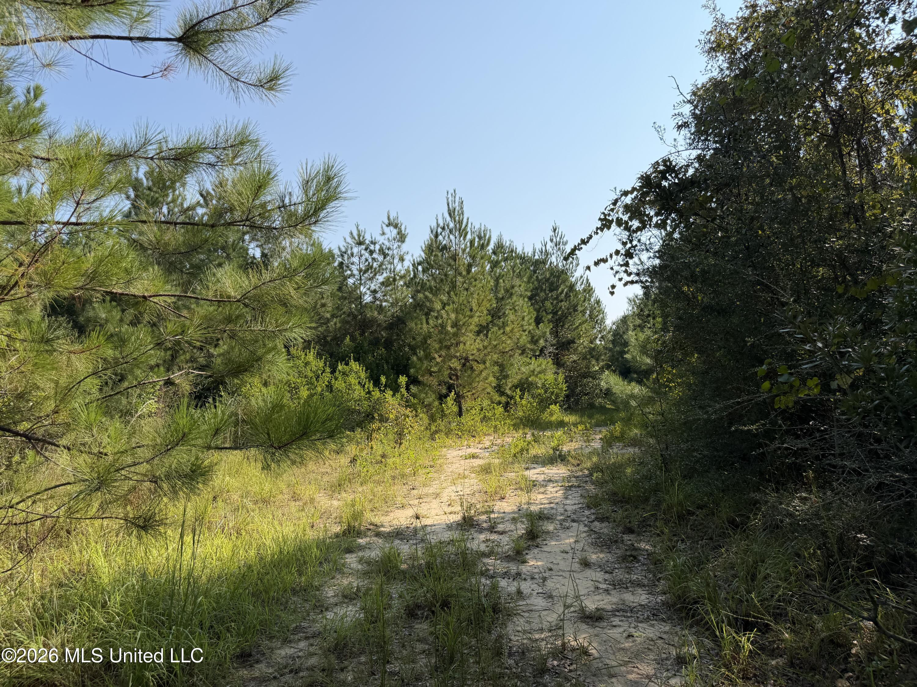 156.3 Acres Beesley Road Property Photo 6