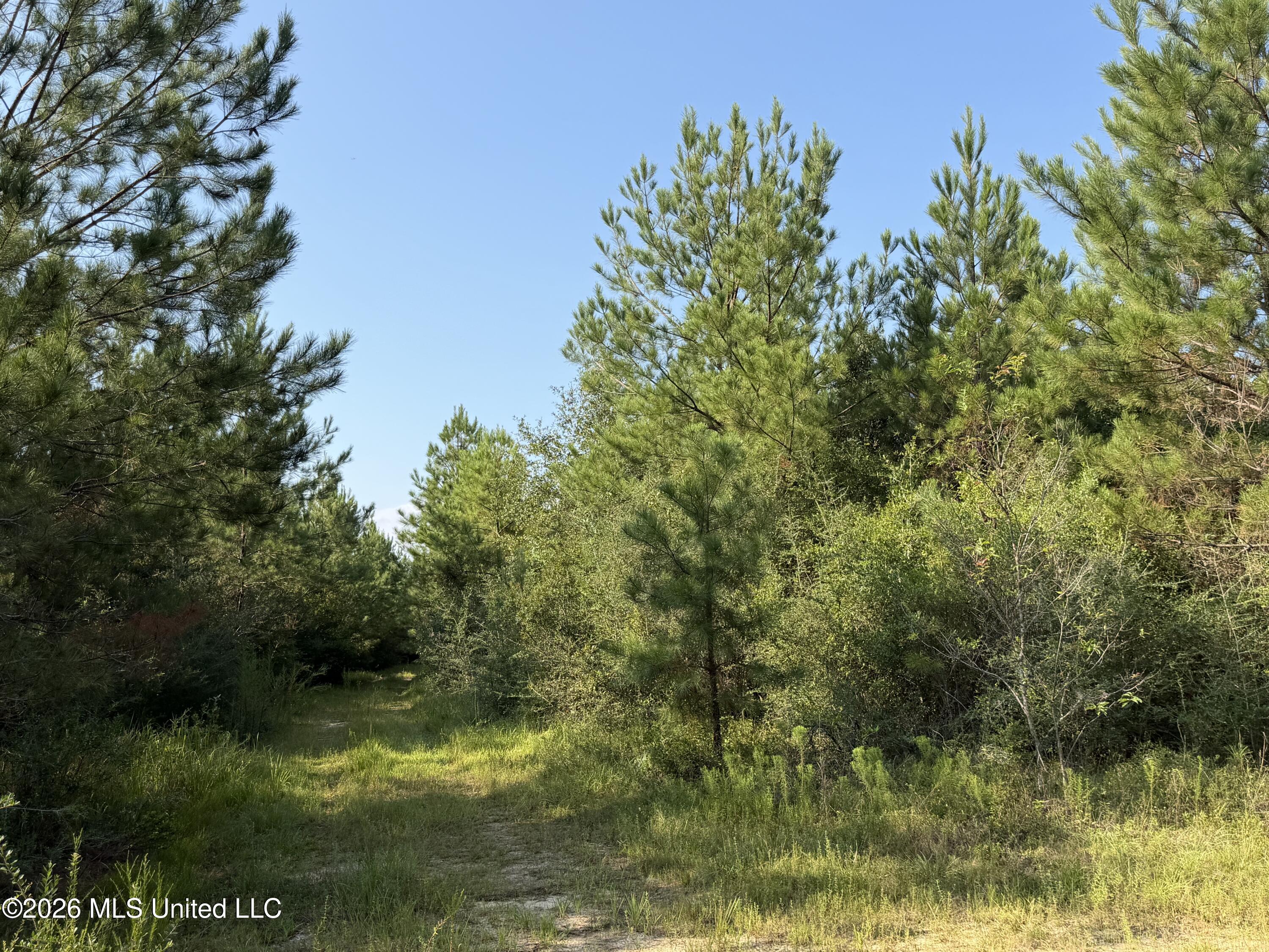 156.3 Acres Beesley Road Property Photo 7