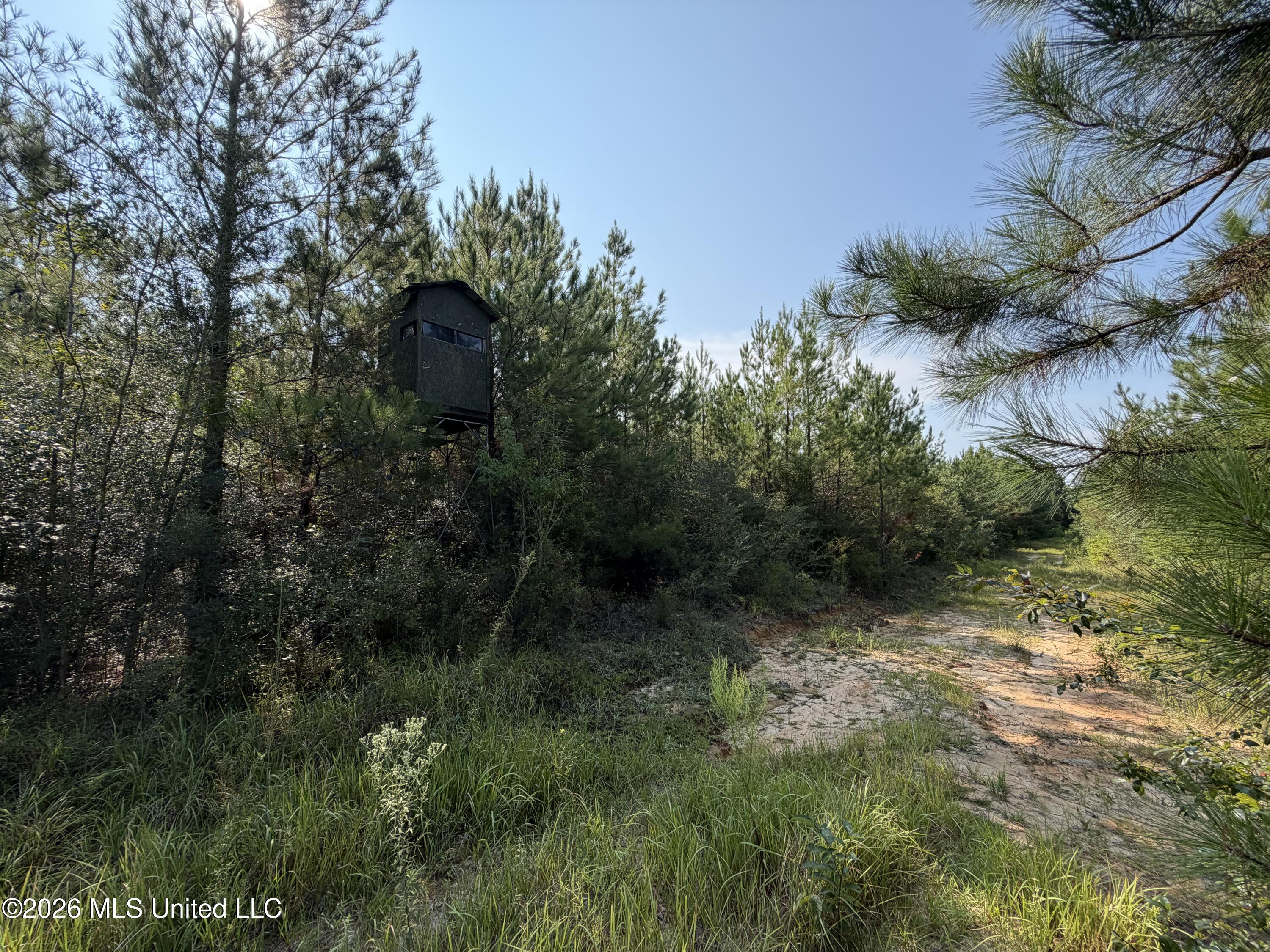 156.3 Acres Beesley Road Property Photo 8