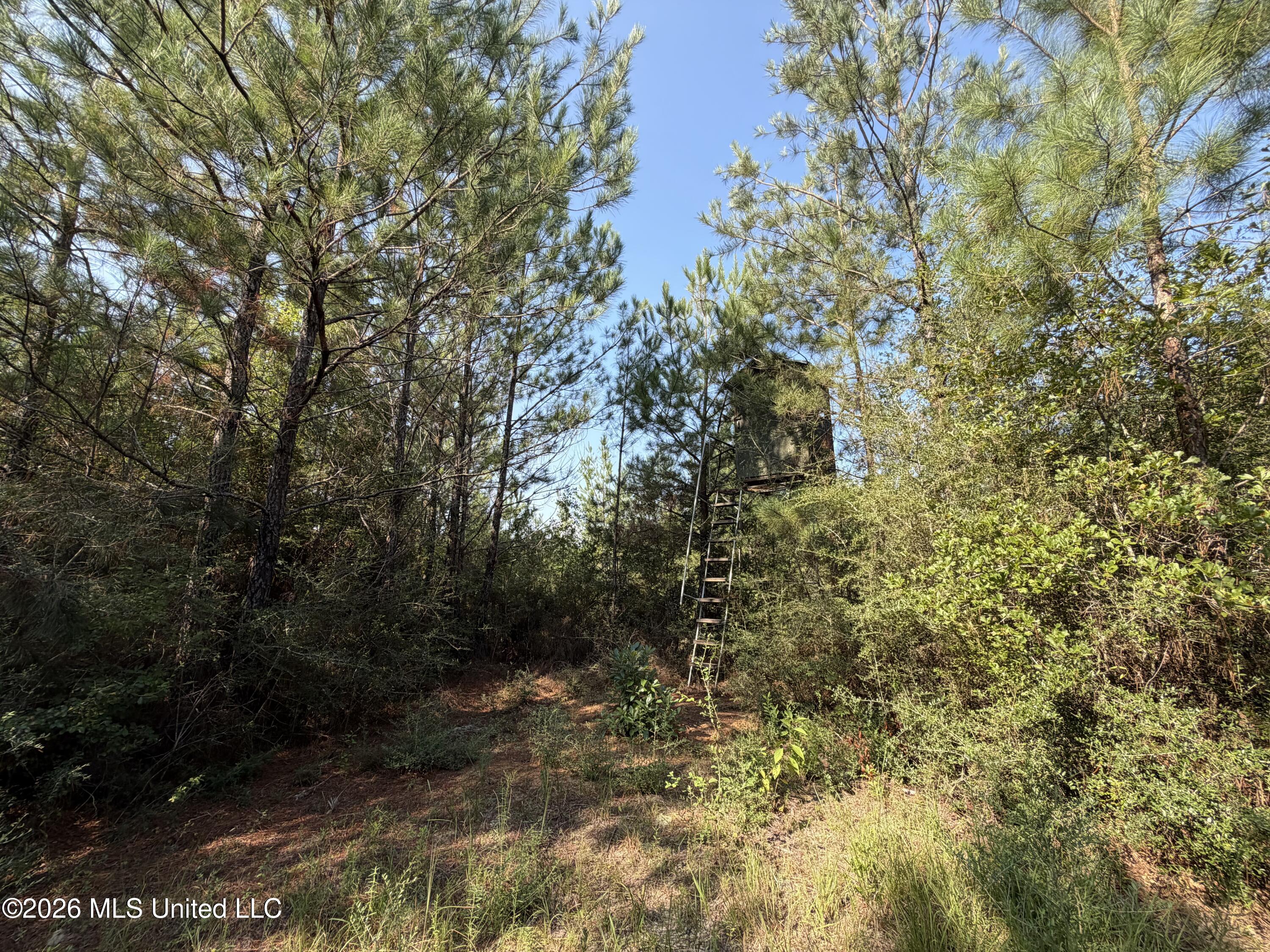 156.3 Acres Beesley Road Property Photo 9
