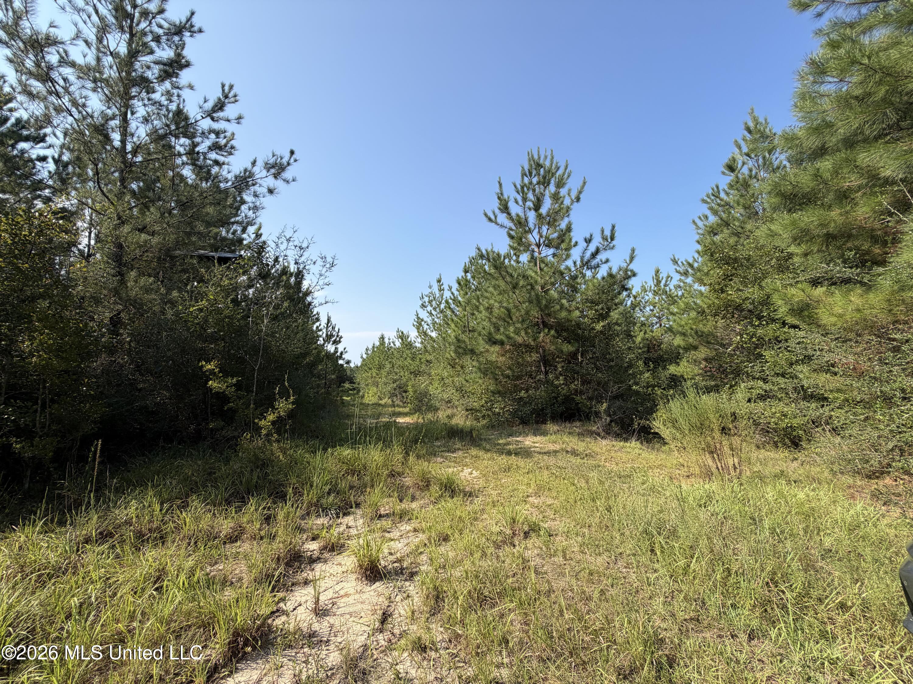156.3 Acres Beesley Road Property Photo 10