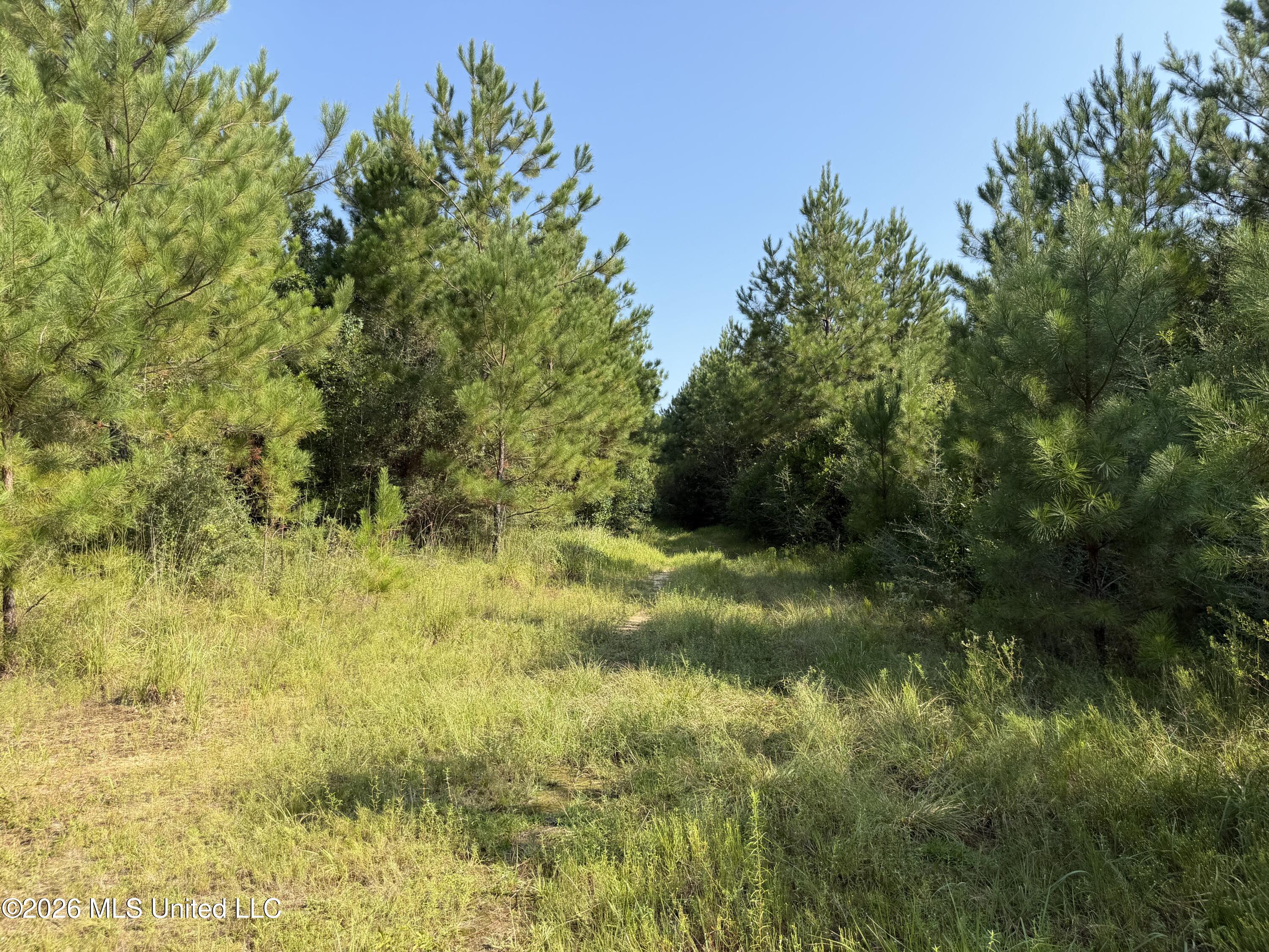 156.3 Acres Beesley Road Property Photo 11