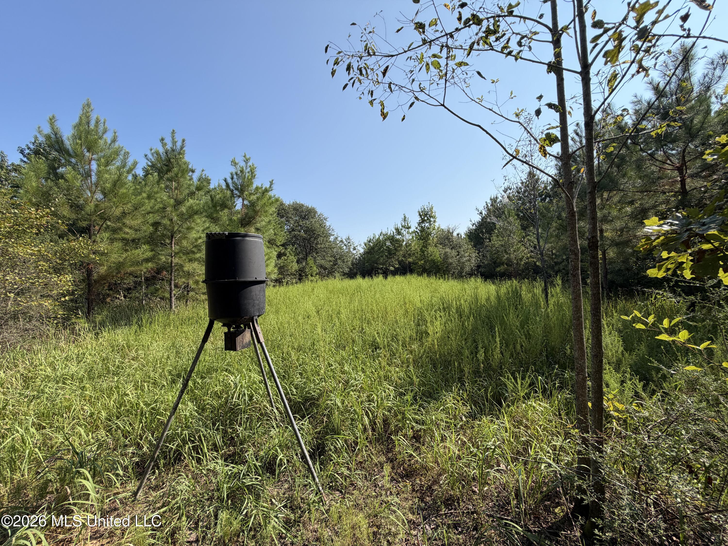 156.3 Acres Beesley Road Property Photo 12