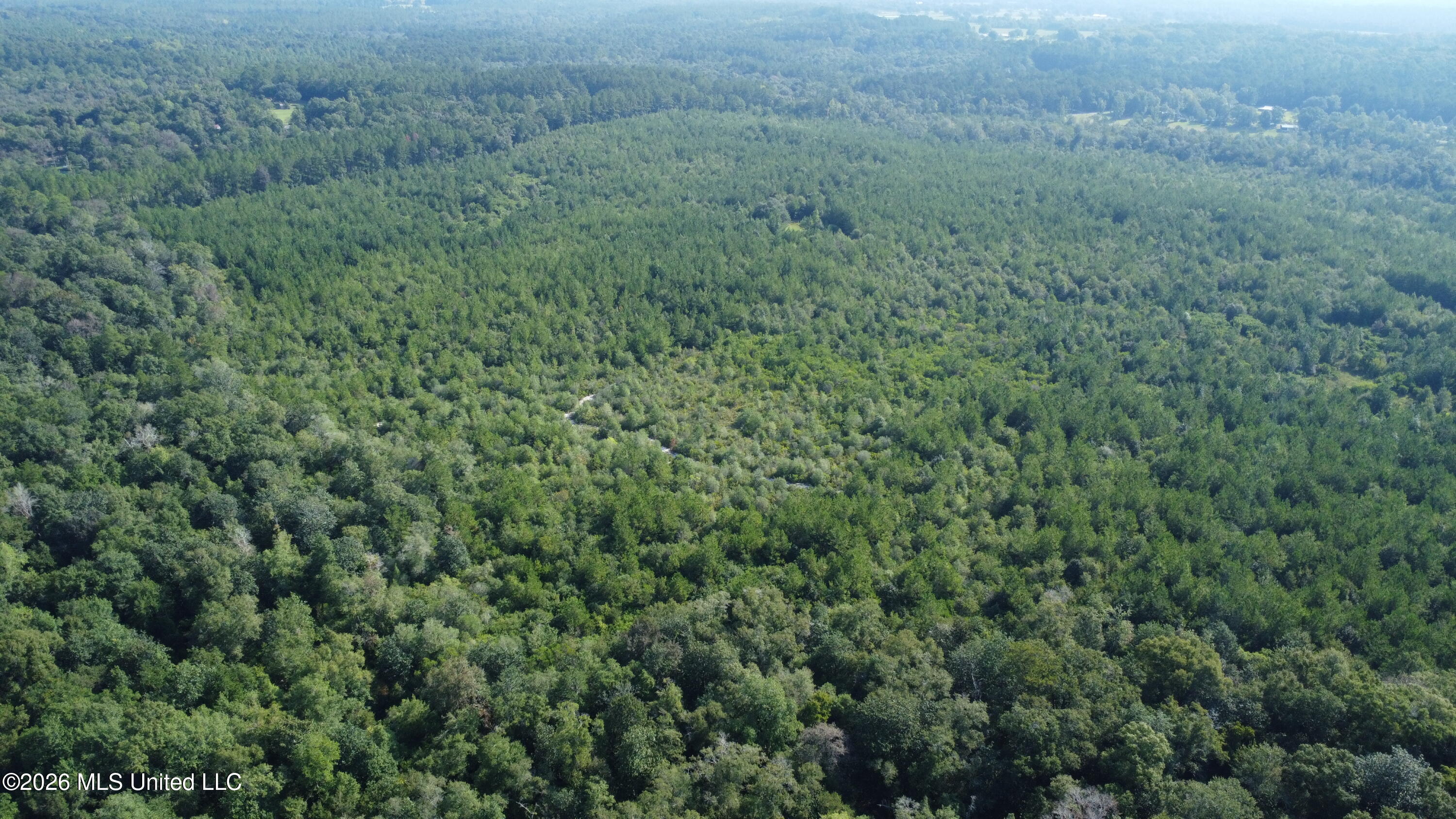 156.3 Acres Beesley Road Property Photo 17