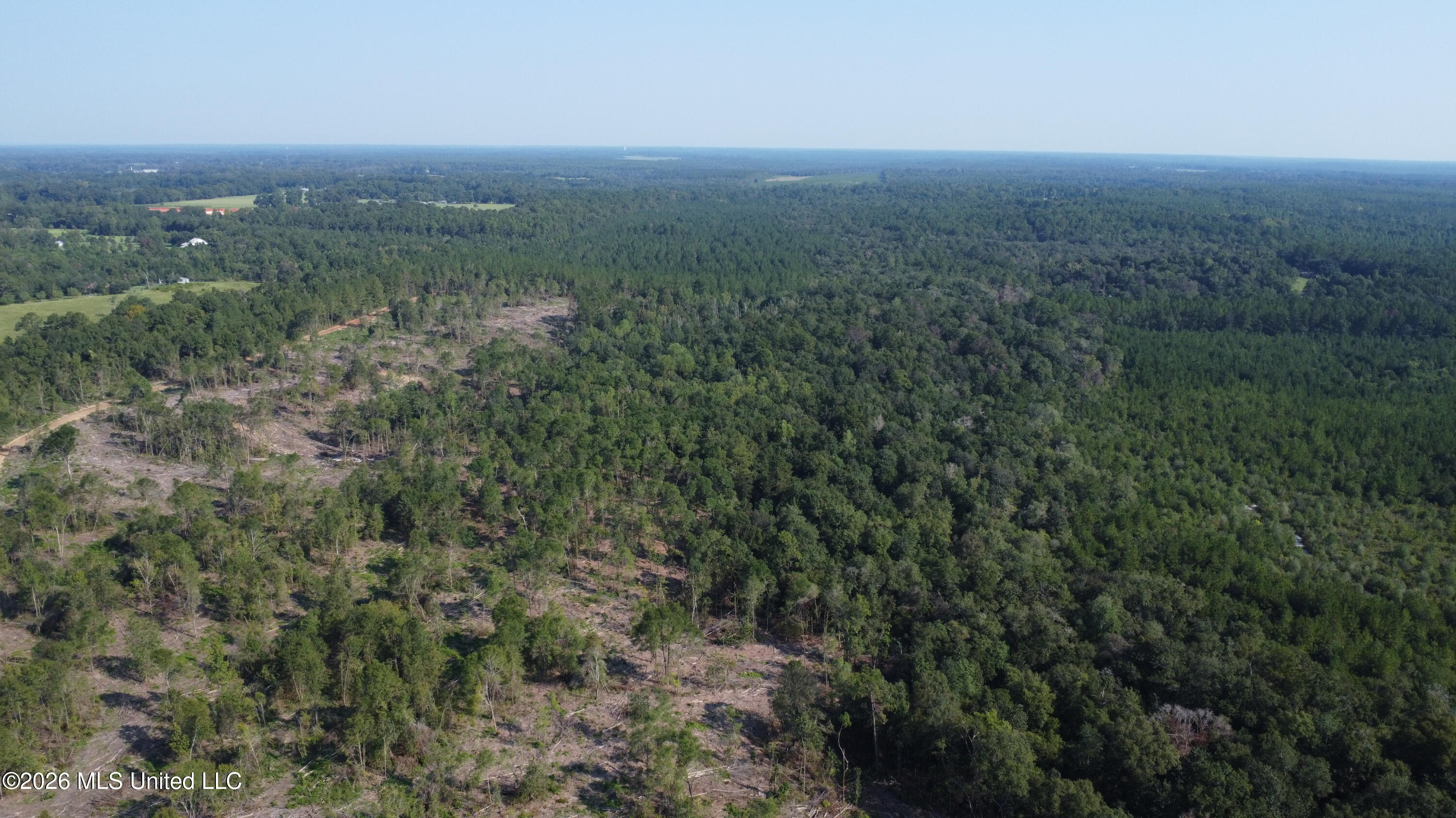 156.3 Acres Beesley Road Property Photo 18